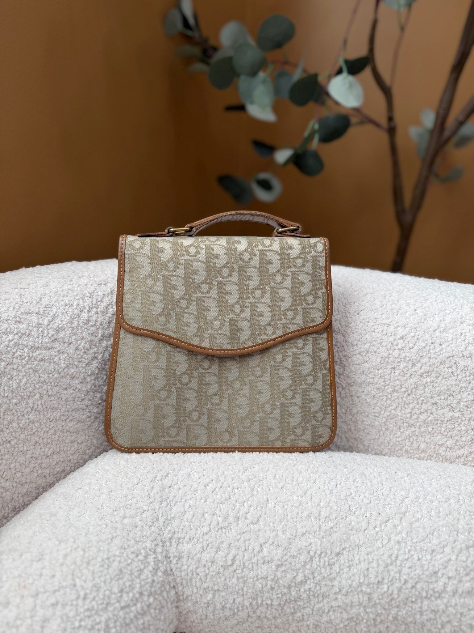 Christian Dior Brown Canvas Vintage Trotter Top Handle