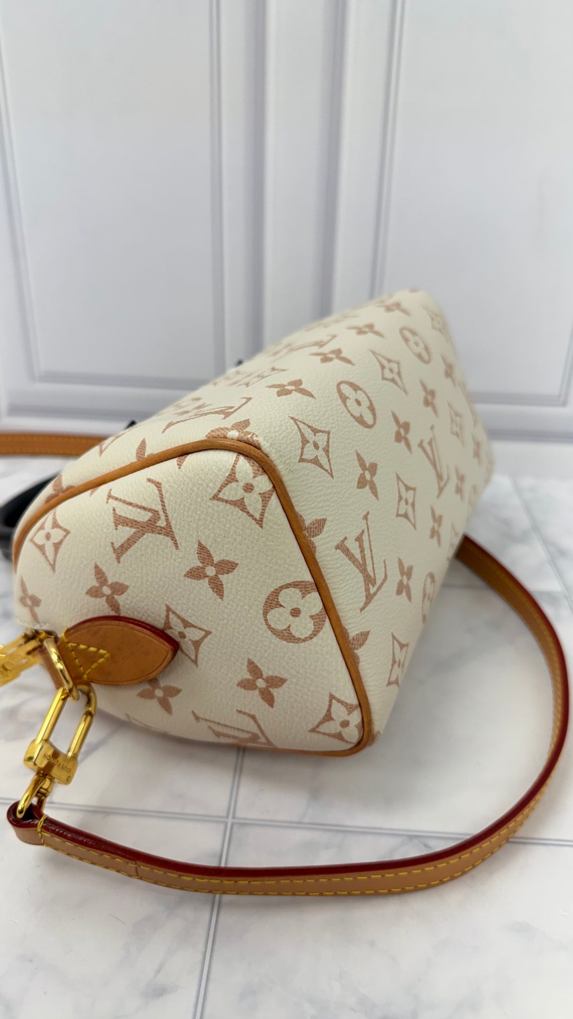 Louis Vuitton Monogram Dune Speedy 20 Bandouliere