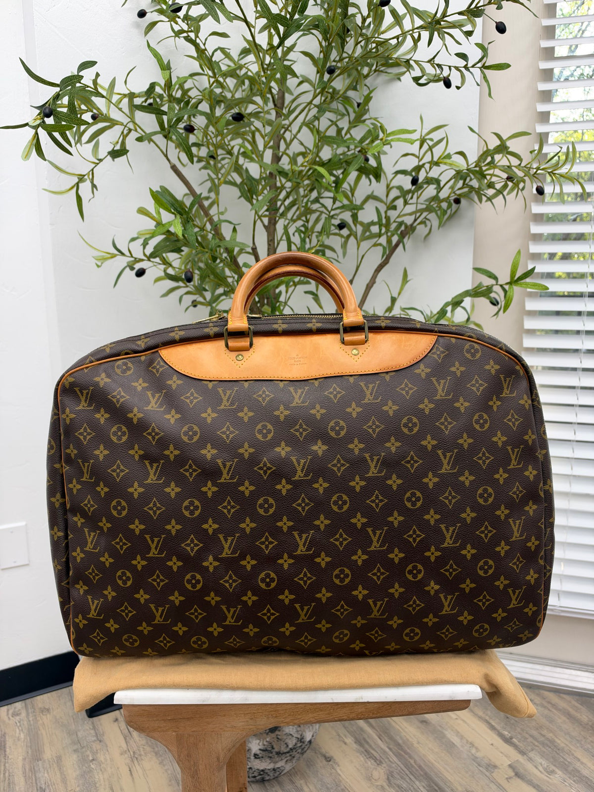 Louis Vuitton Monogram Alize Soft Suitcase