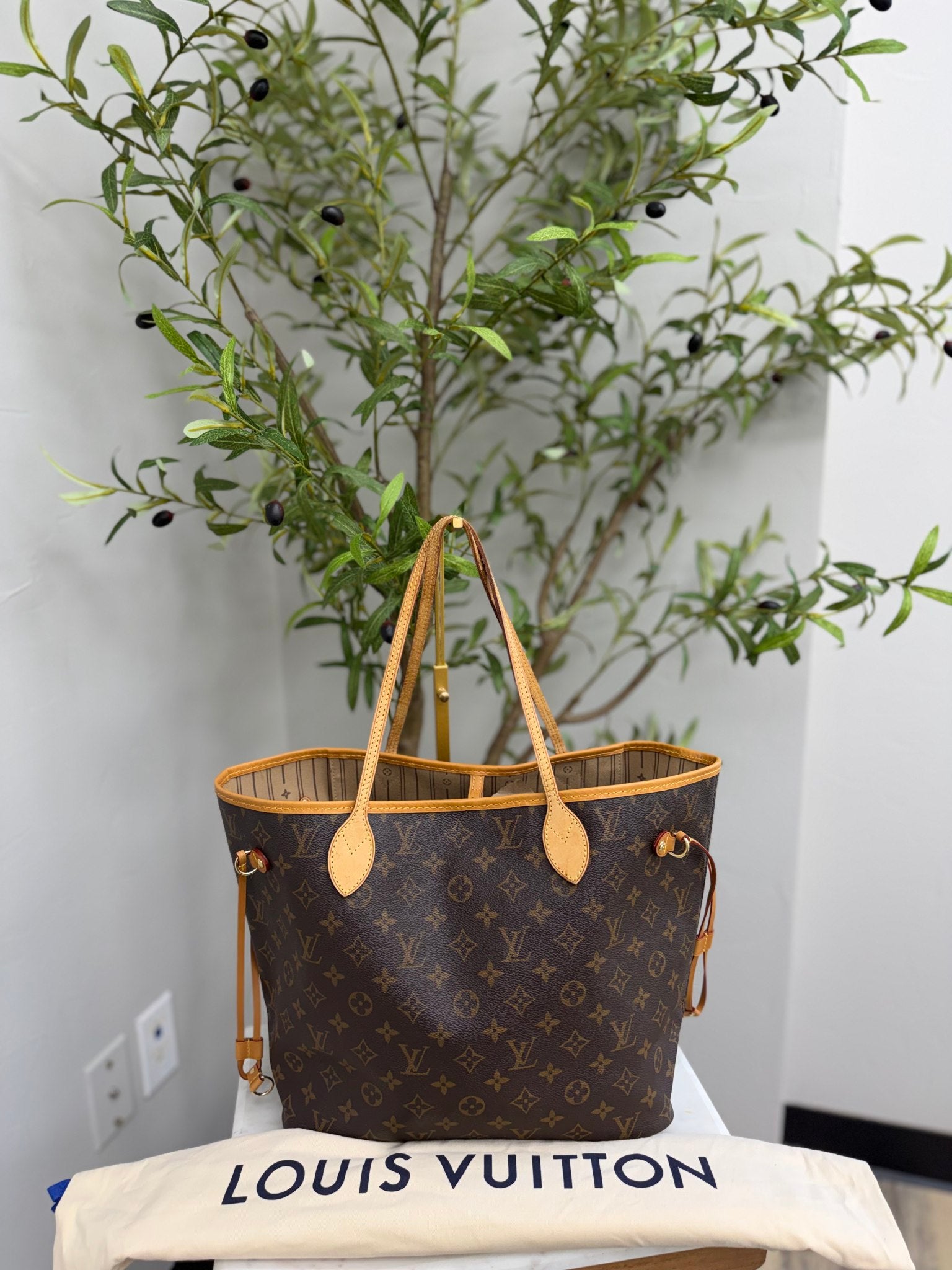 Louis Vuitton Monogram Neverfull MM Tote Bag