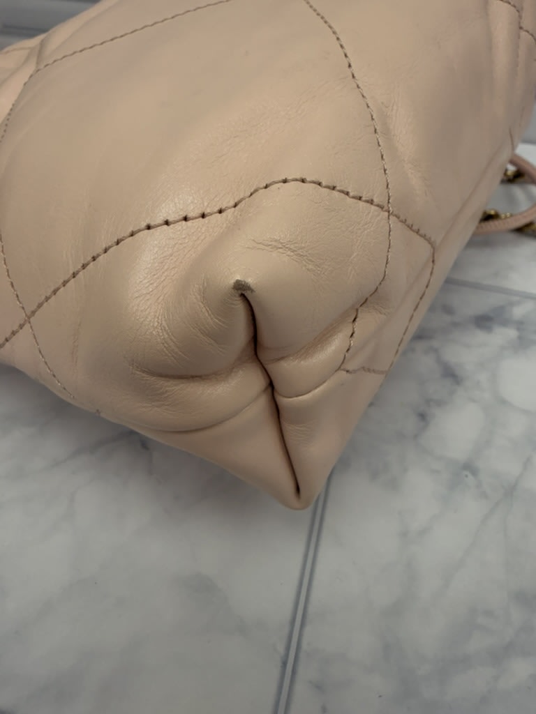 Chanel Pale Pink Quilted Leather 22 Hobo Crossbody