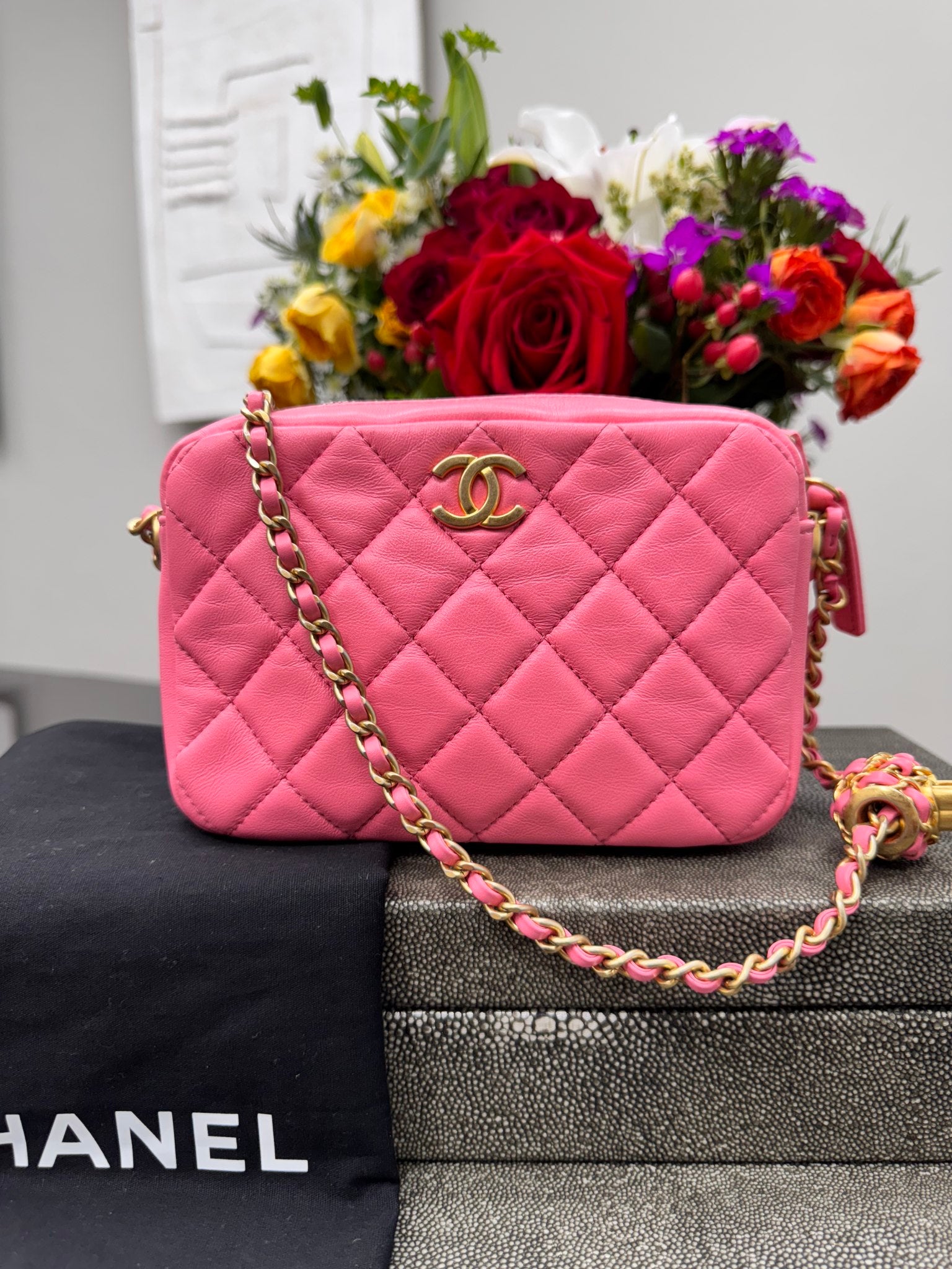 Chanel Pink Quilted Leather Pearl Crush Camera Bag