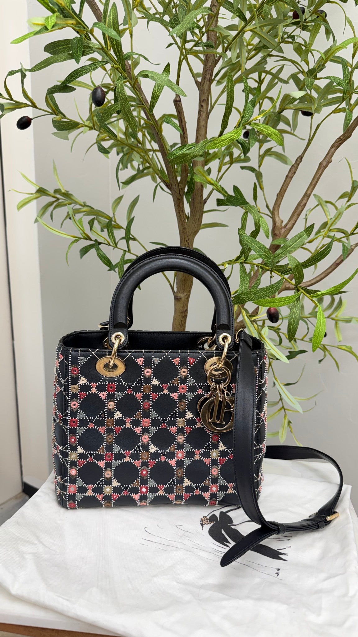 Christian Dior Black Multicolor Embroidered Lady Dior Medium 2Way Bag
