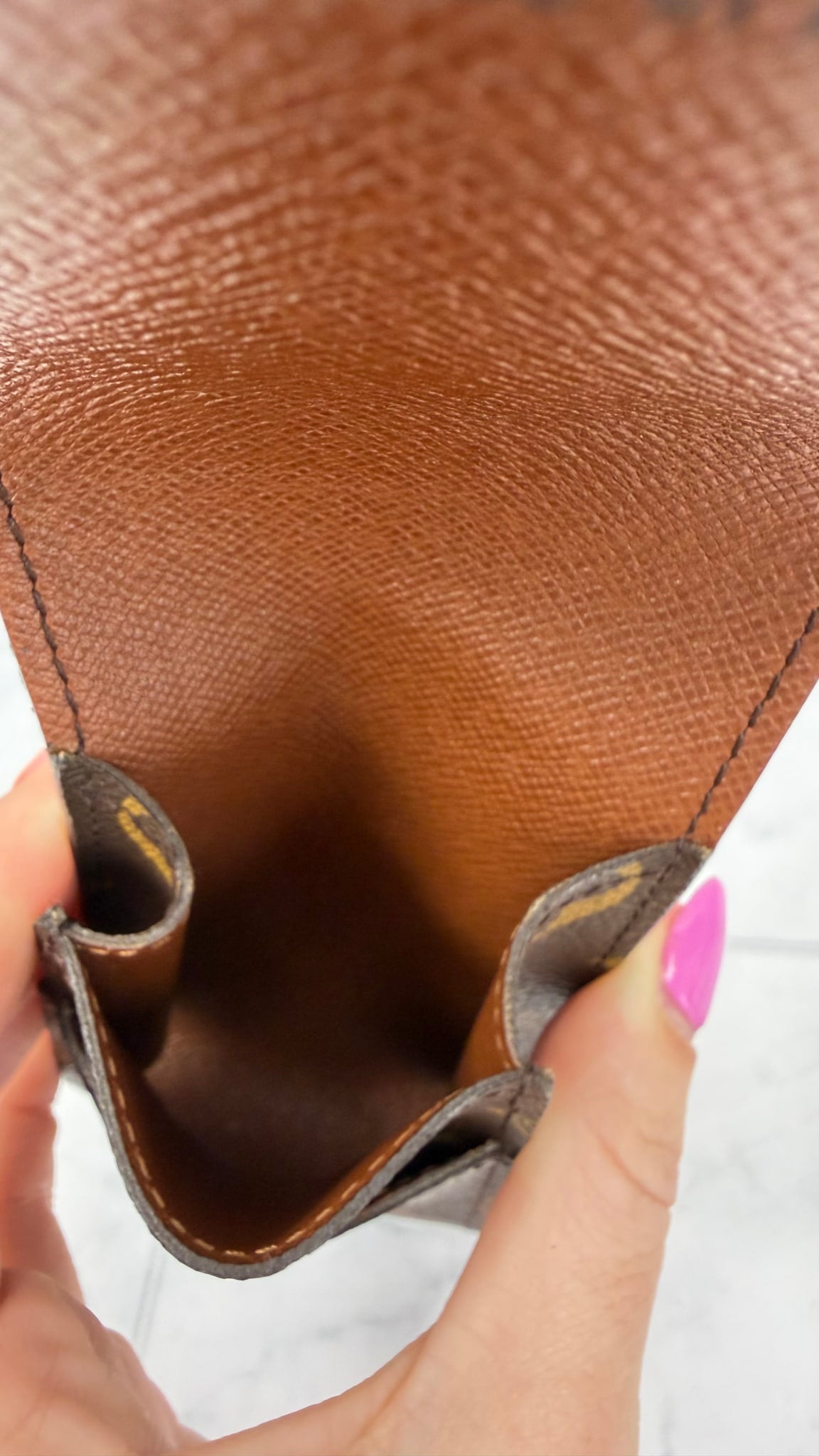 Louis Vuitton Monogram Case