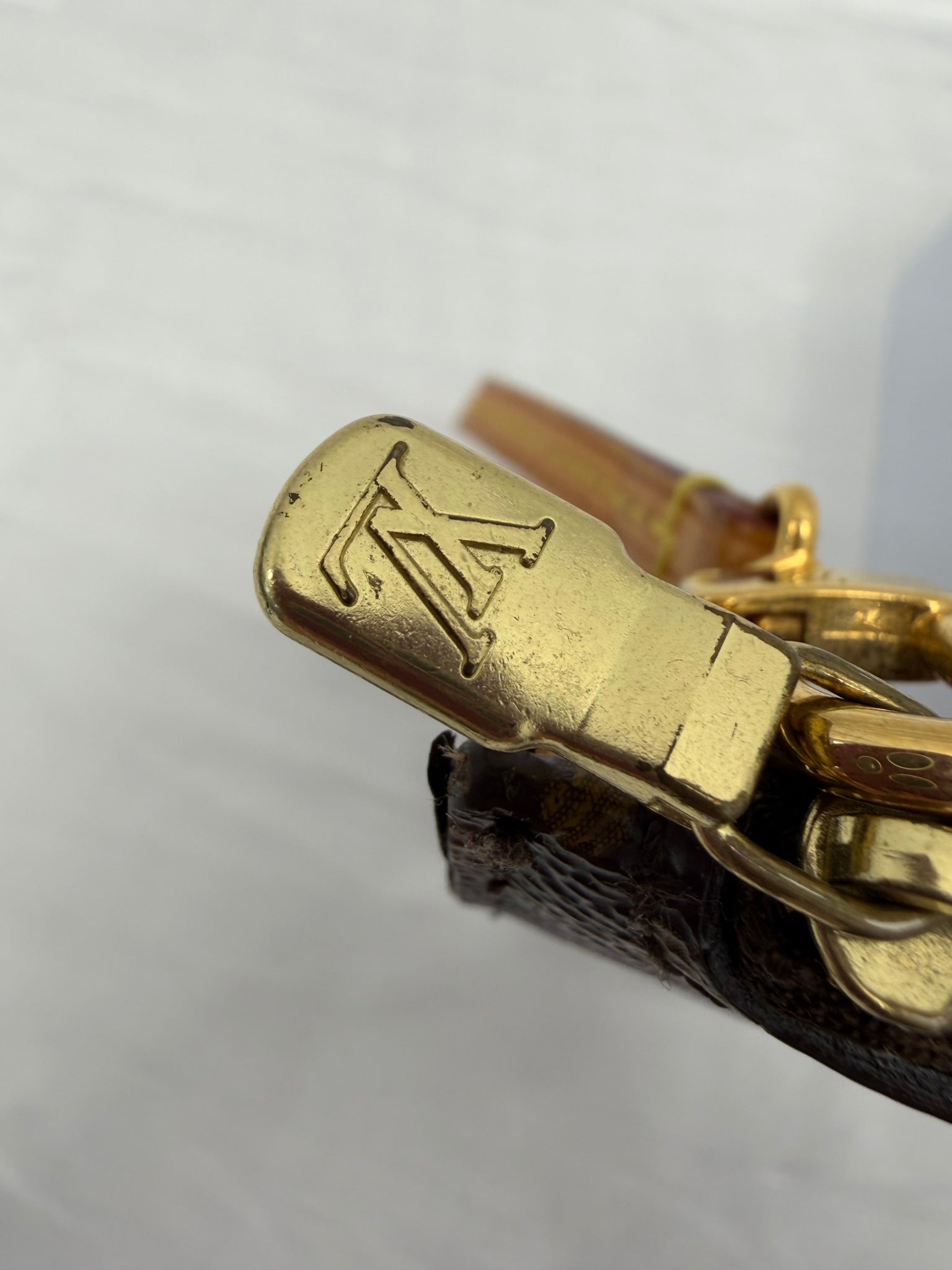 Louis Vuitton Monogram Neverfull Pouch