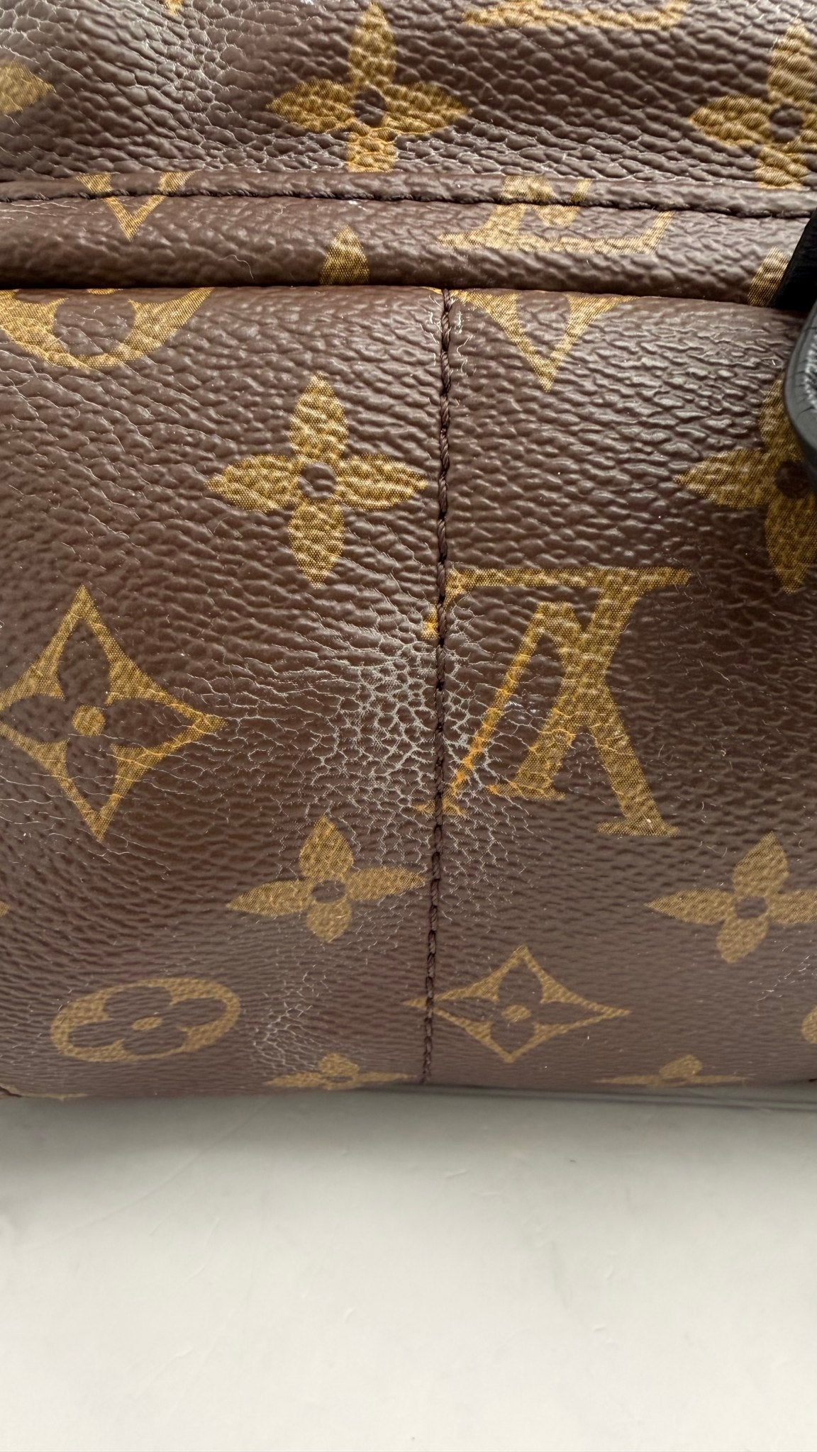 Louis Vuitton Monogram Palm Springs MM Backpack