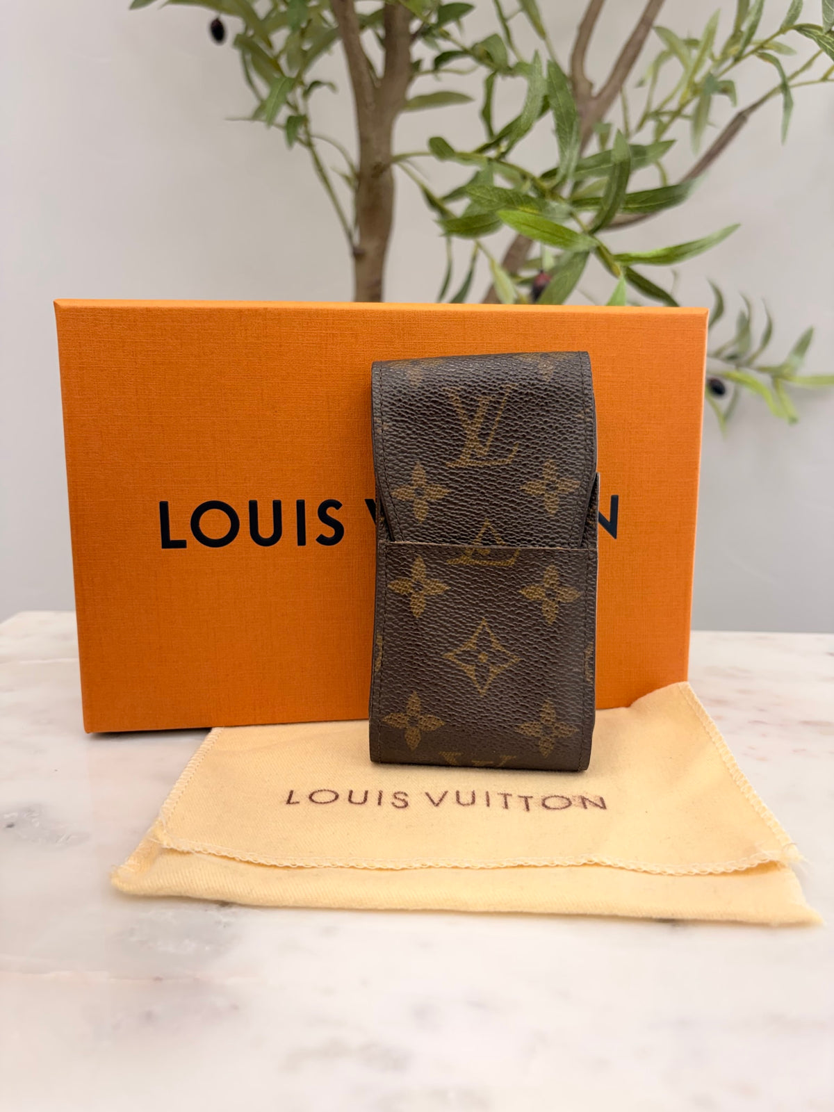 Louis Vuitton Monogram Case
