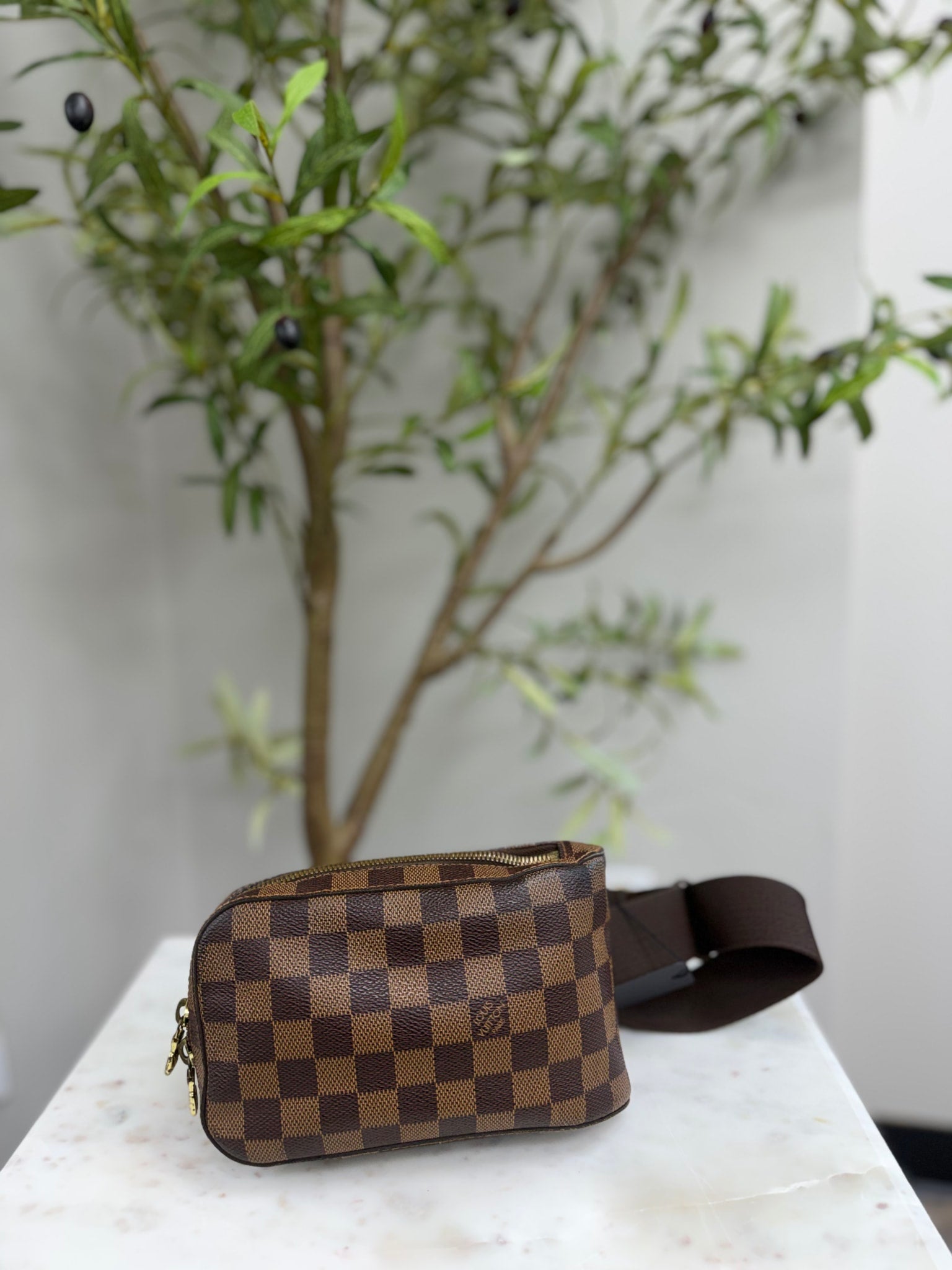 Louis Vuitton Damier Ebene Geronimos Belt Bag