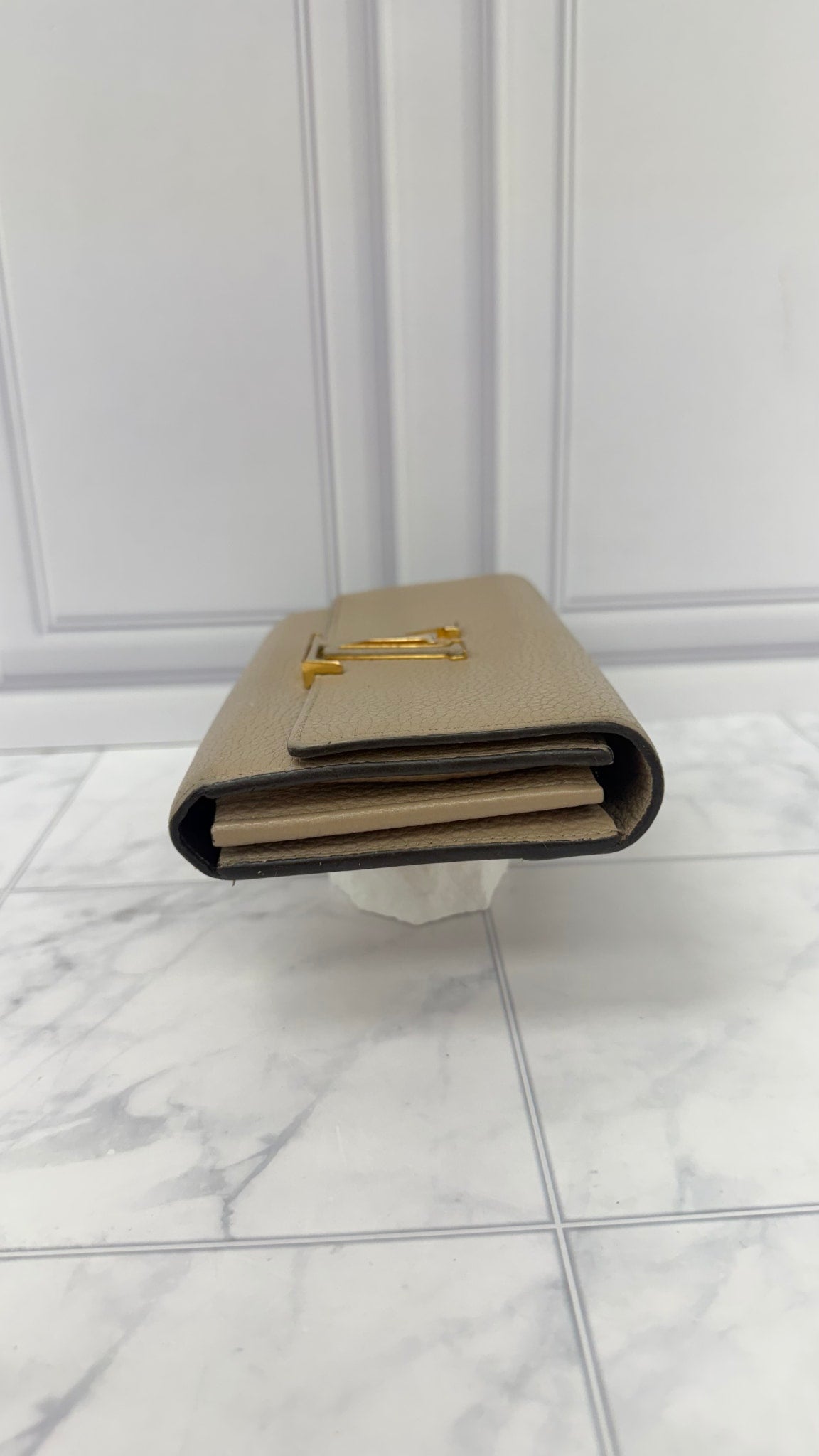 Louis Vuitton Taupe Taurillon Leather Capucines Long Wallet