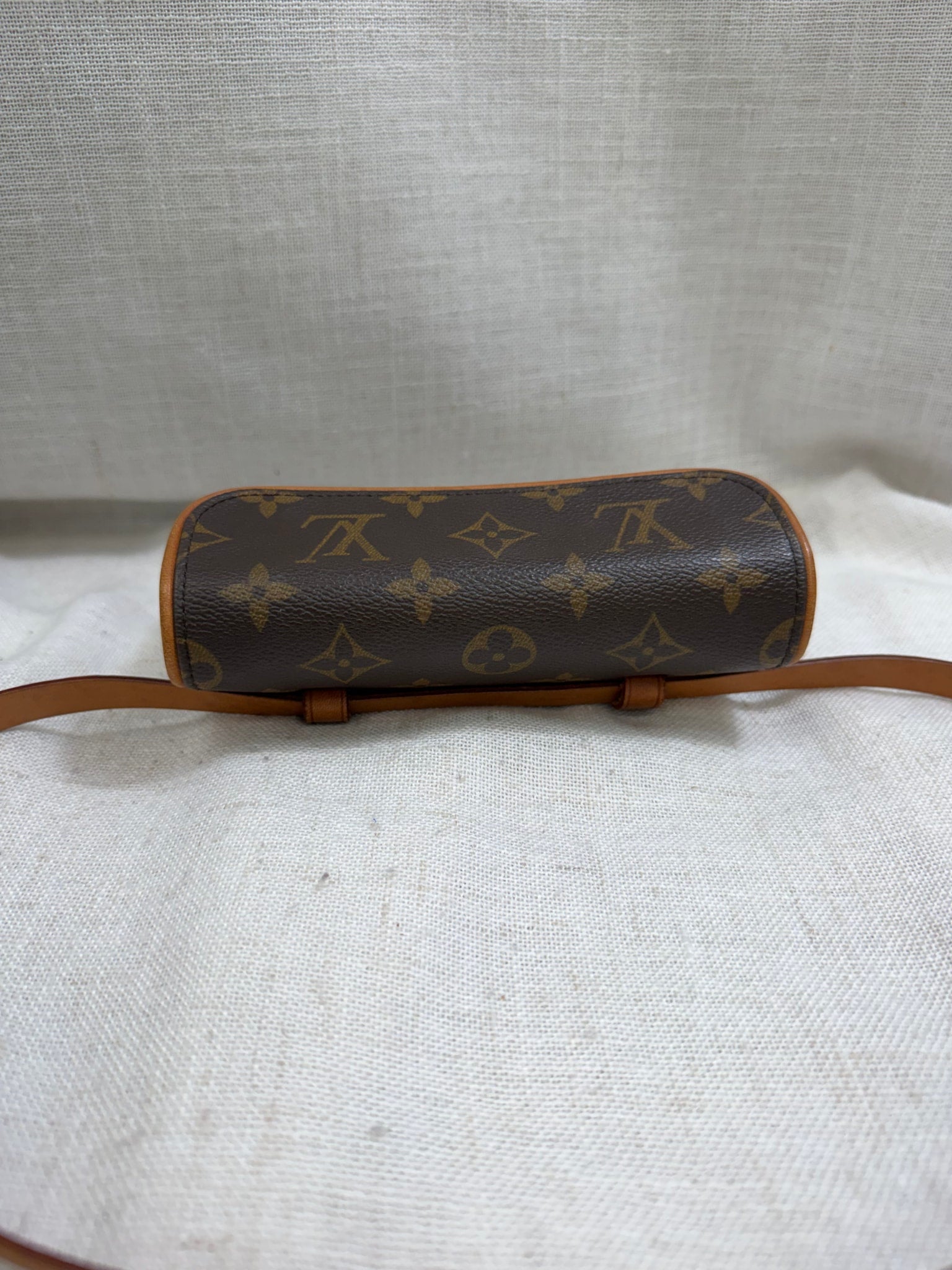 Louis Vuitton Monogram Pochette Florentine Belt Bag