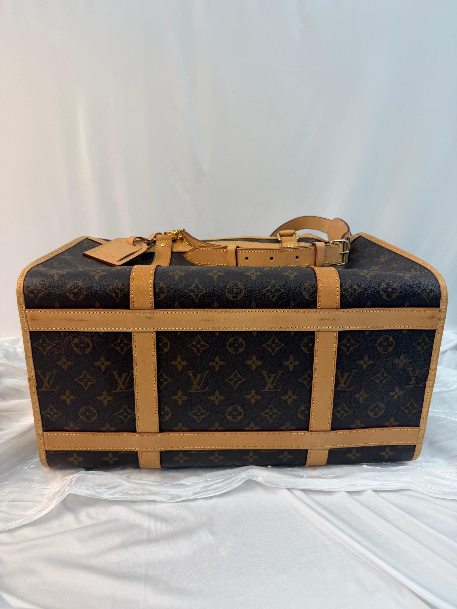 Louis Vuitton Monogram Pet Bag
