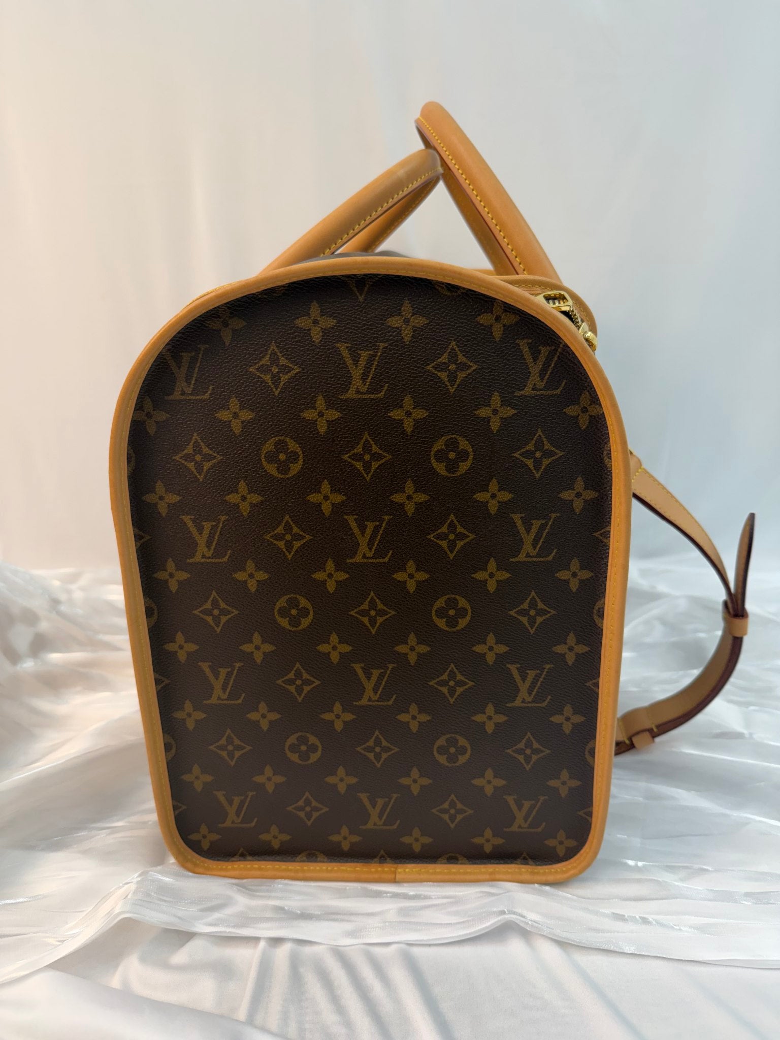 Louis Vuitton Monogram Pet Bag
