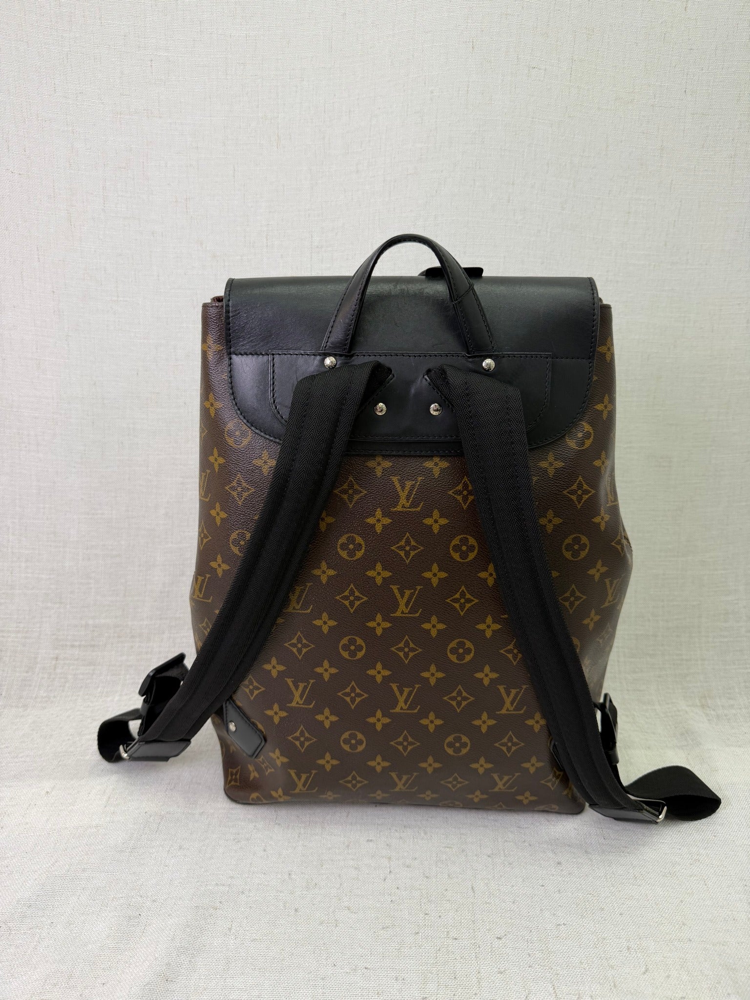 Louis Vuitton Monogram & Macassar Palk Backpack
