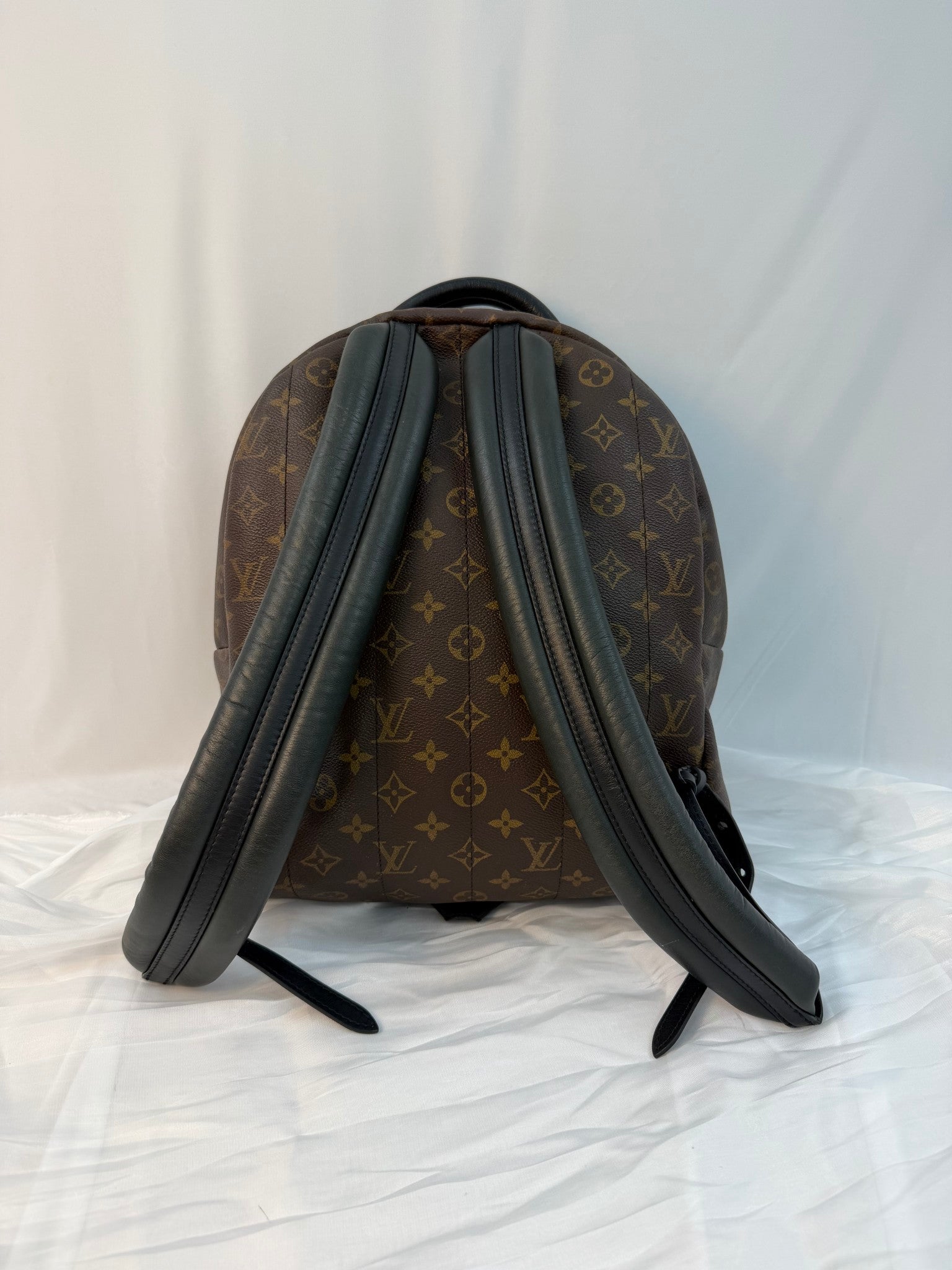 Louis Vuitton Monogram Palm Spring Backpack MM