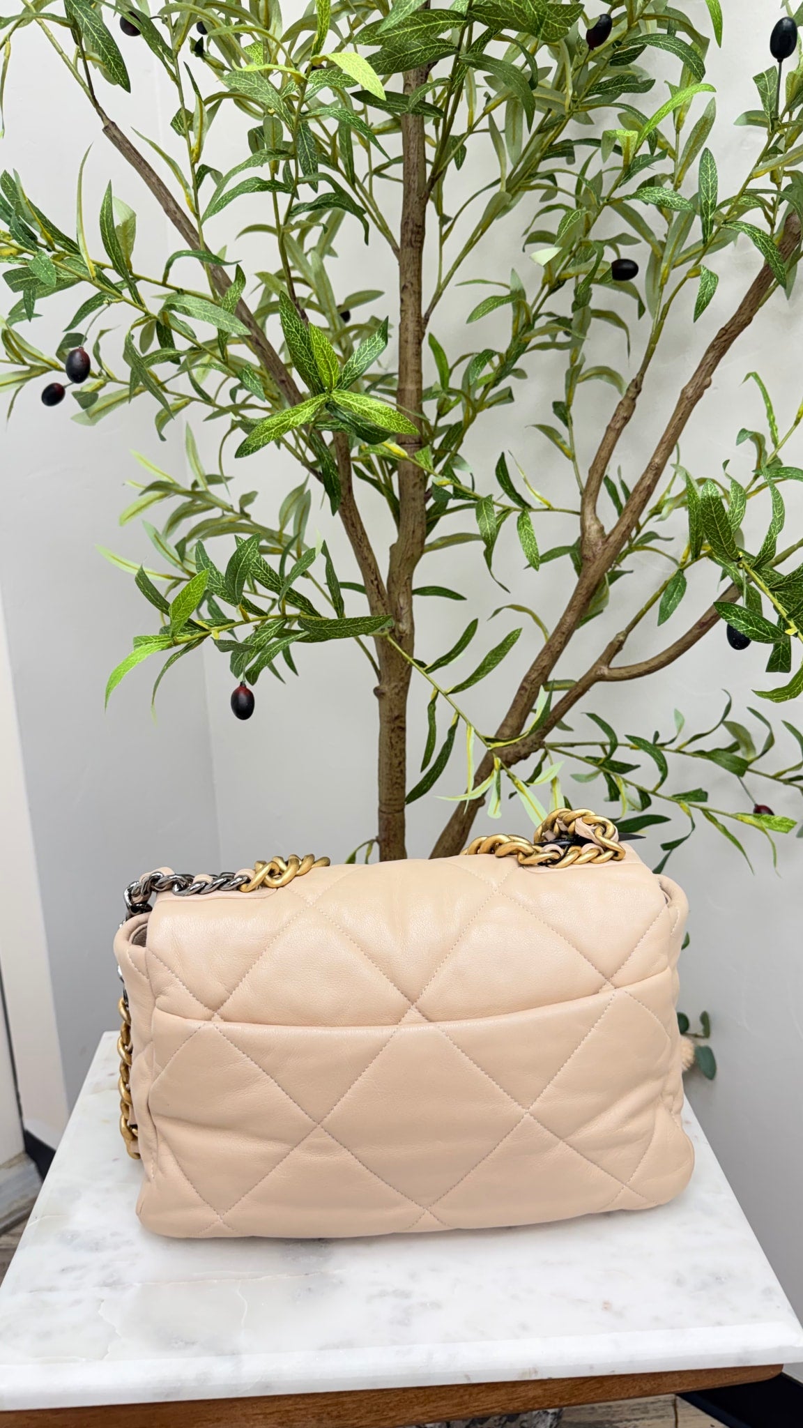 Chanel Beige Quilted Lambskin Leather Large 19 Flap Bag