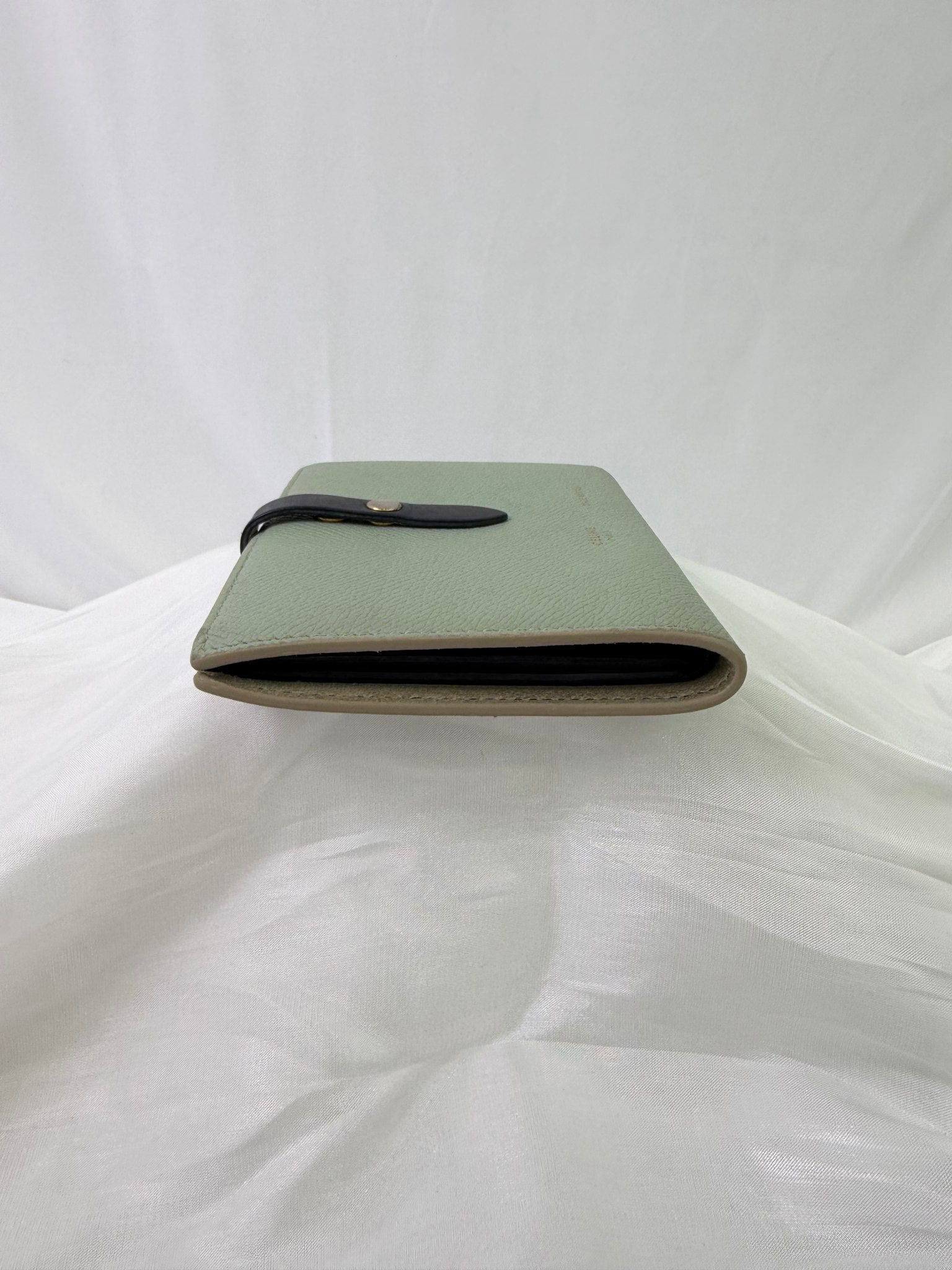 Celine Mint And Navy Leather Medium Strap Wallet