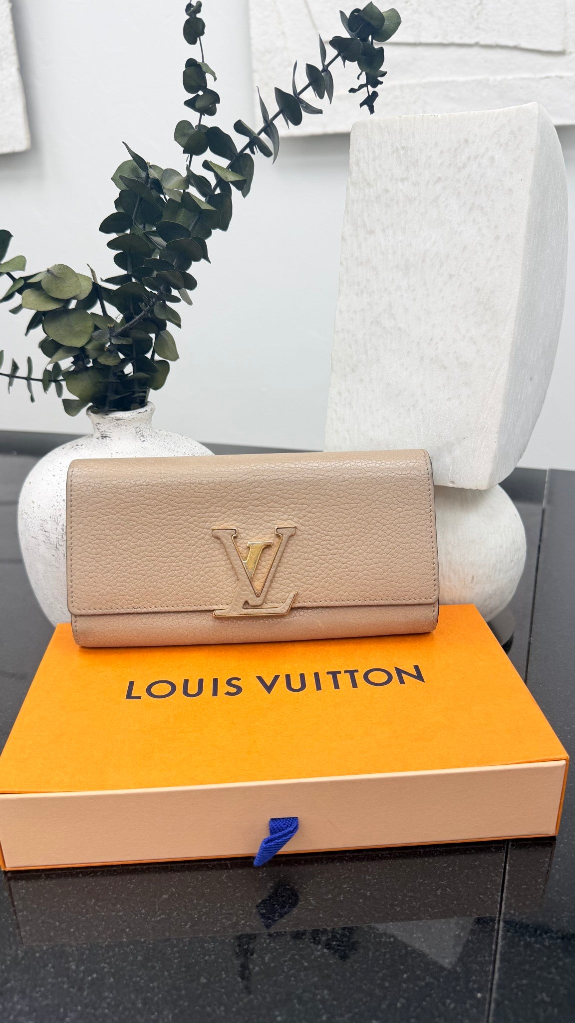 Louis Vuitton Taupe Taurillon Leather Capucines Long Wallet
