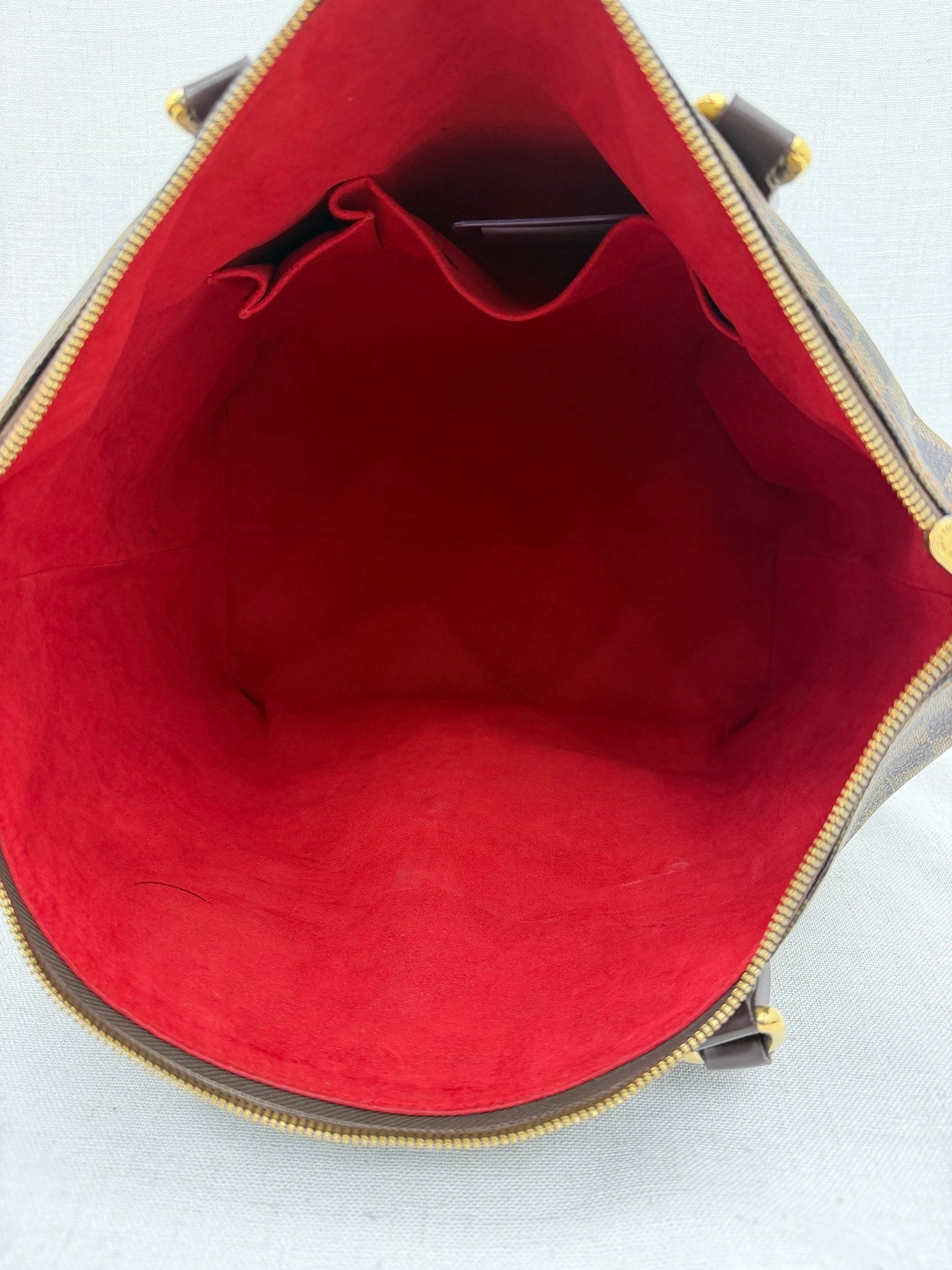 Louis Vuitton Damier Ebene Saleya GM