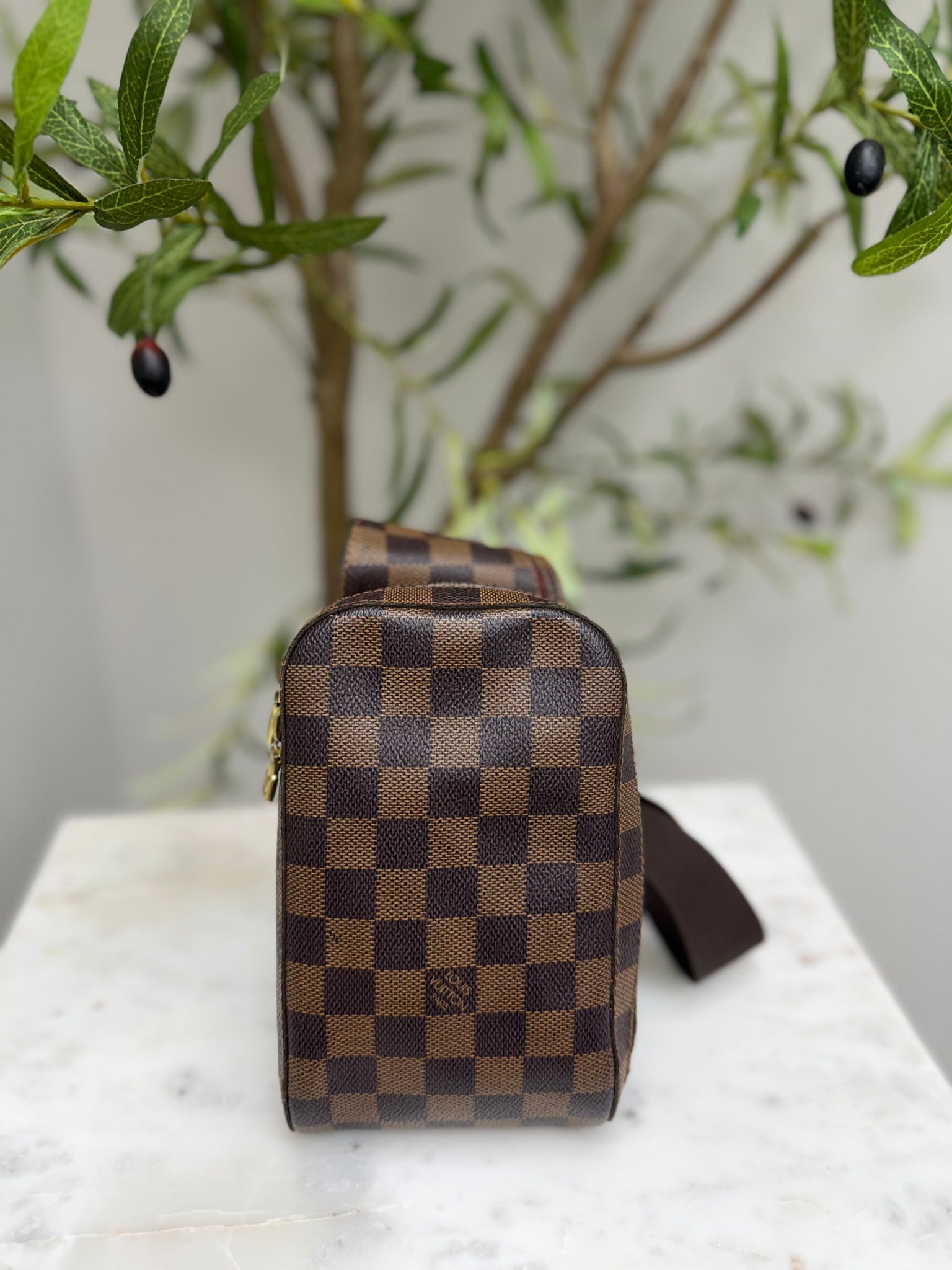 Louis Vuitton Damier Ebene Geronimo's Belt Bag
