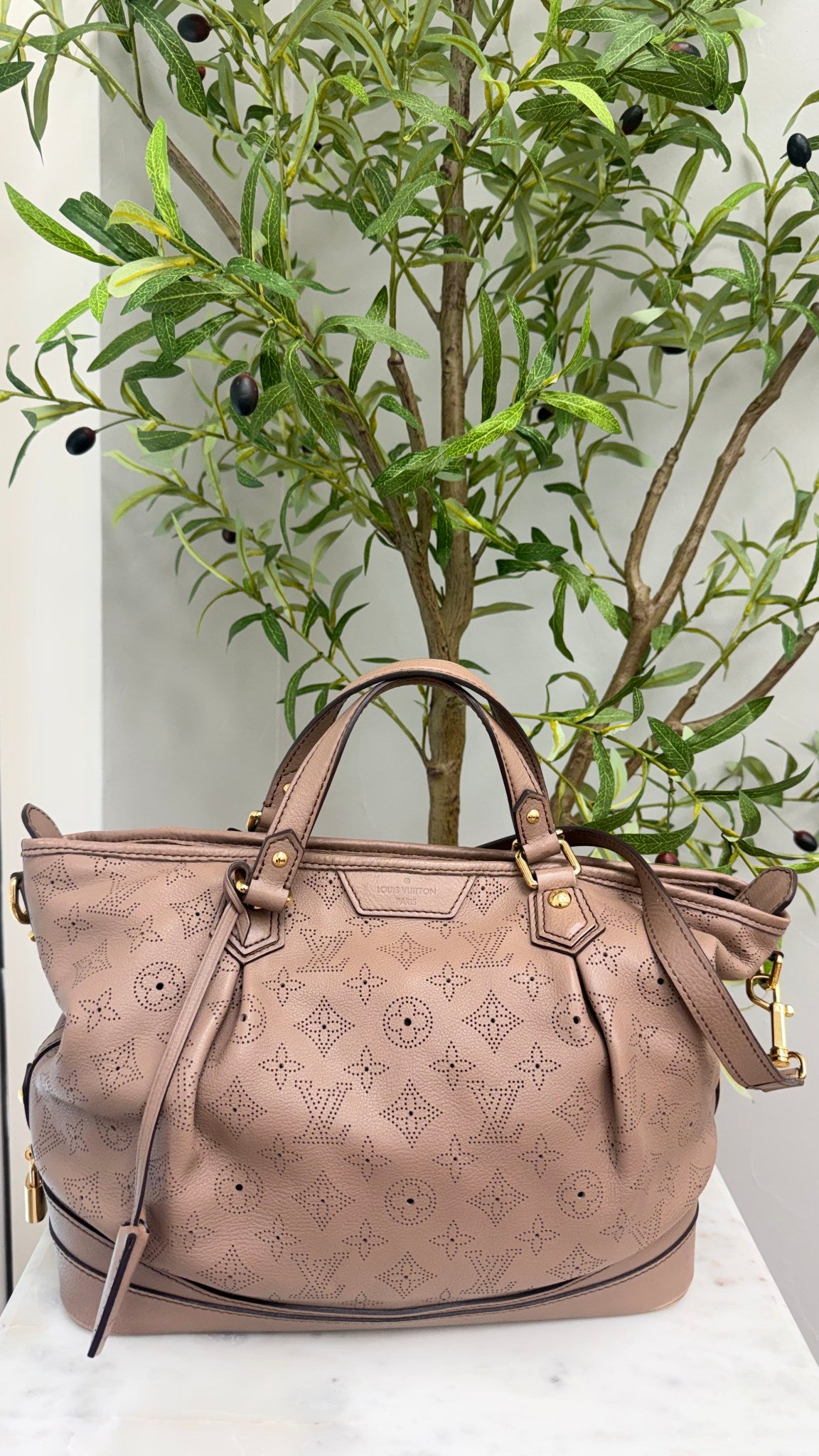 Louis Vuitton Beige Monogram Perforated Leather Mahina Stellar PM Bag
