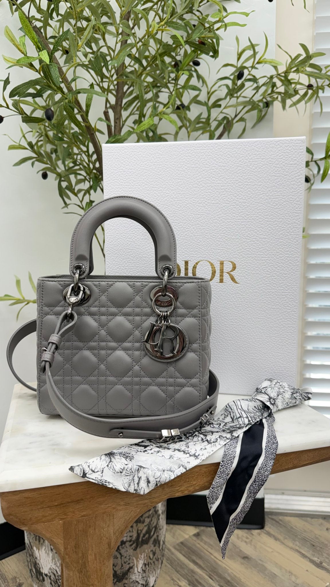 Christian Dior Matte Grey Cannage Leather Small Lady Dior & Twilly