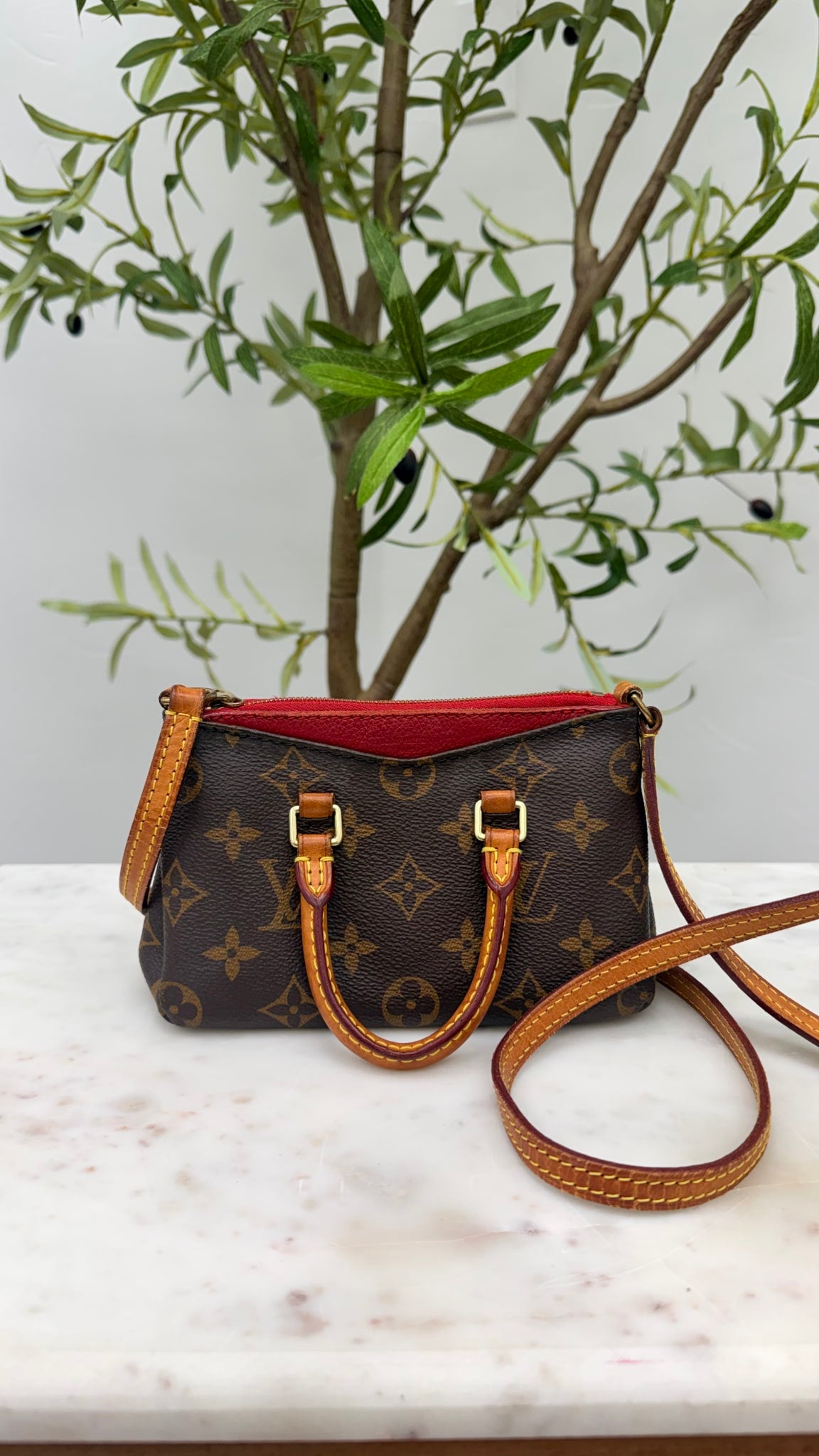 Louis Vuitton Red Monogram Nano Pallas 2Way Handbag