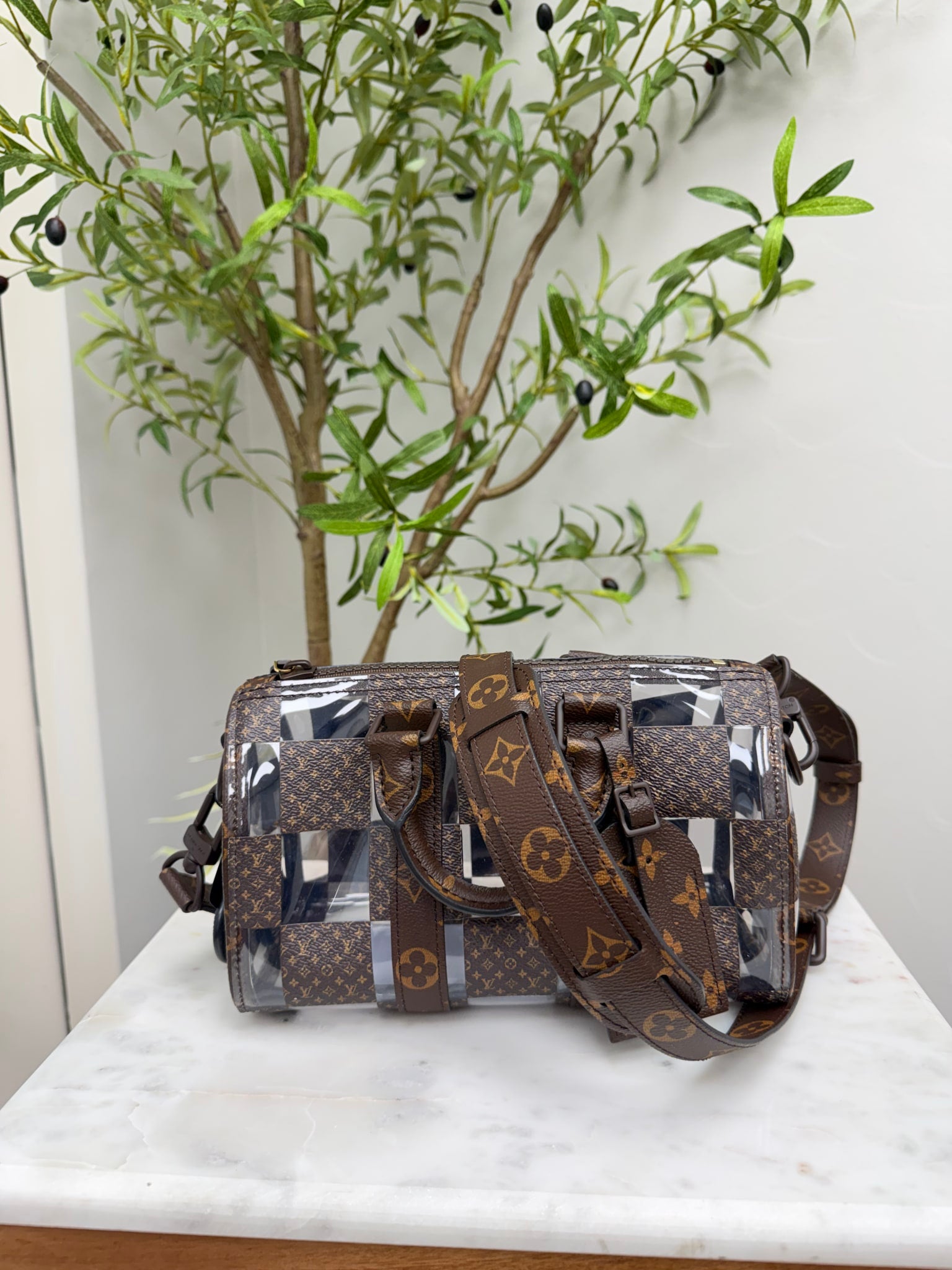 Louis Vuitton Monogram Clear PVC Keepall 25 Bandouliere
