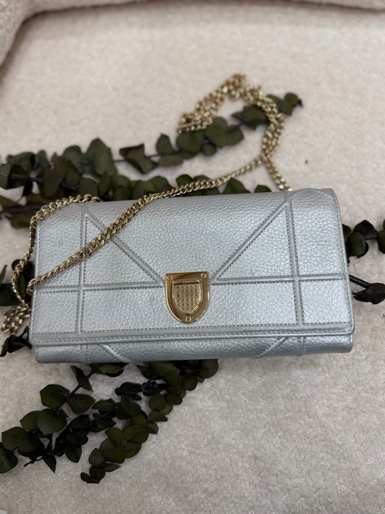 Christian Dior Silver Leather Diorama Wallet on a Chain