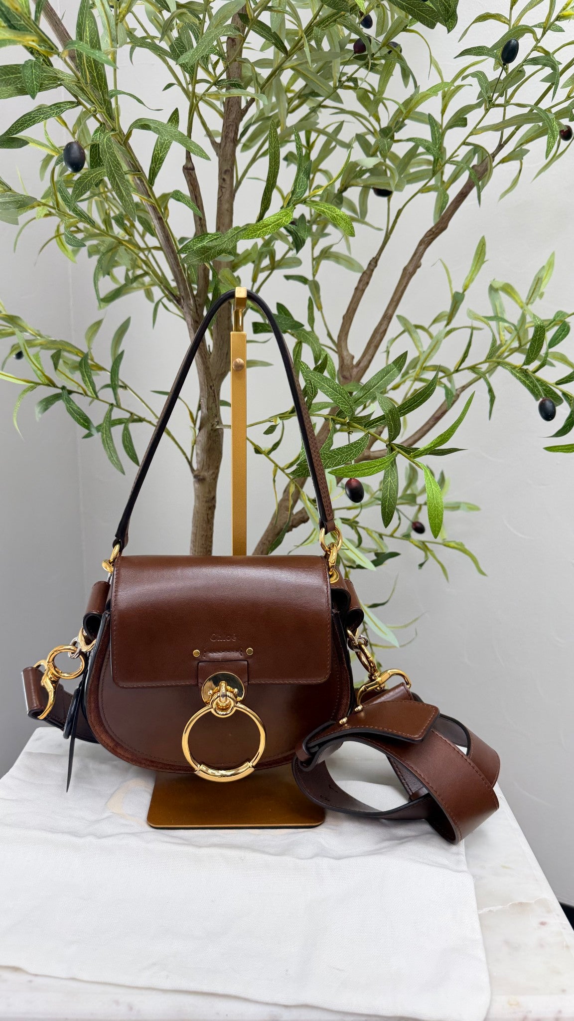 Chloe Brown Leather Tess Small Shoulder Bag