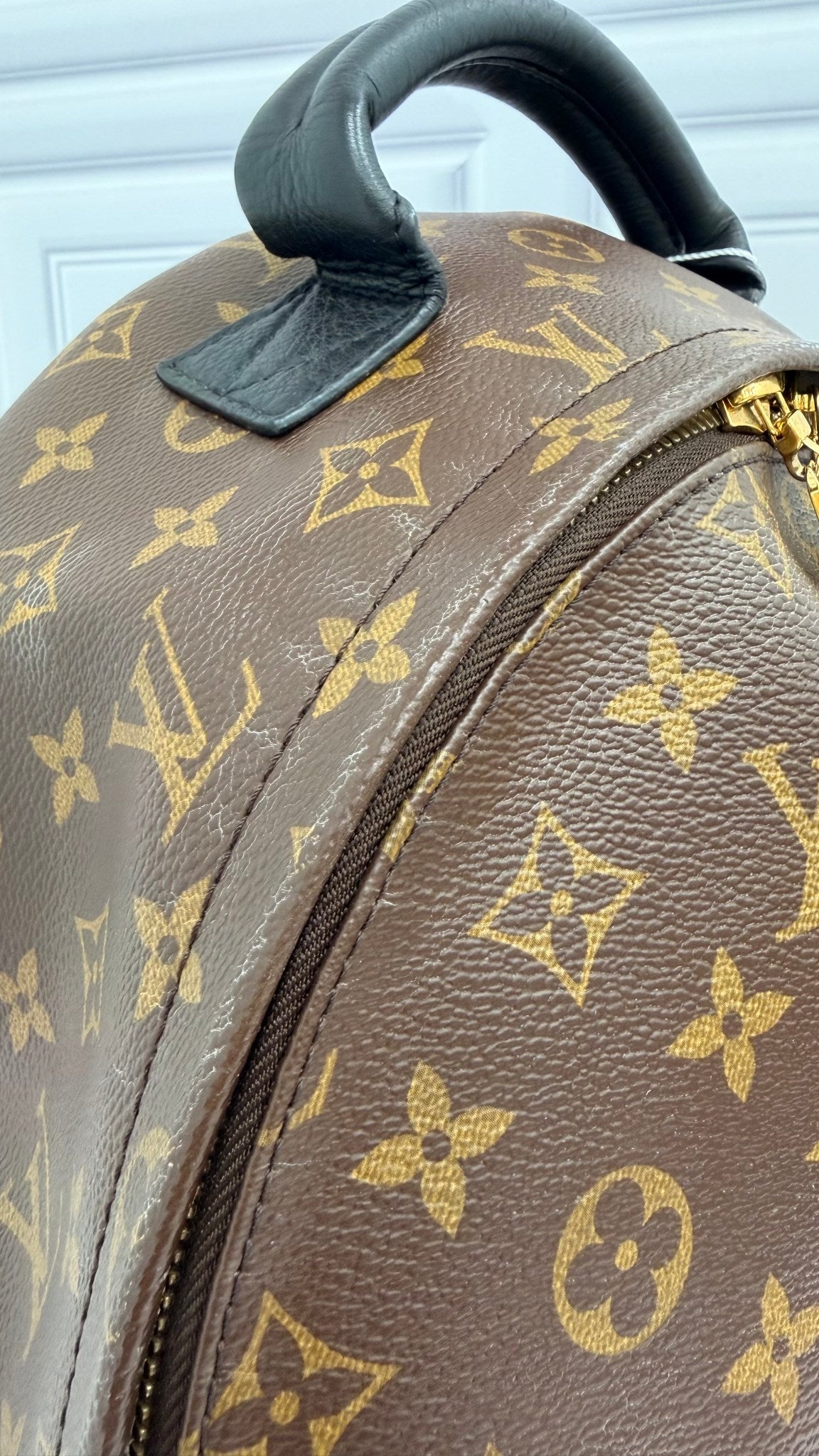 Louis Vuitton Monogram Palm Springs MM Backpack
