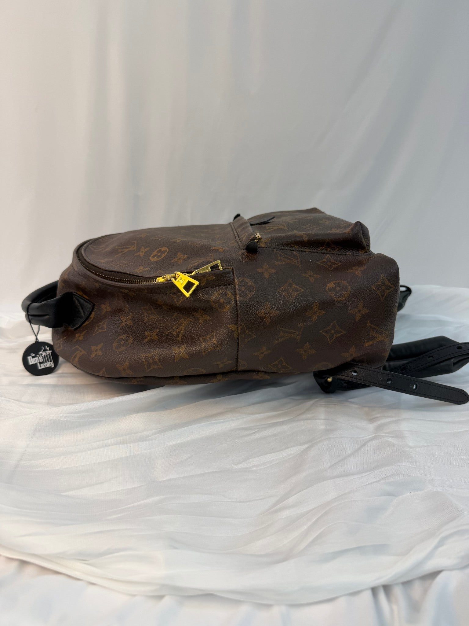 Louis Vuitton Monogram Palm Spring Backpack MM