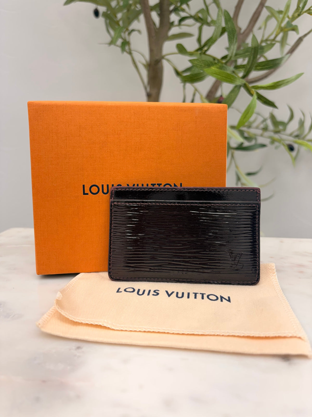 Louis Vuitton Electric Epi Card Holder
