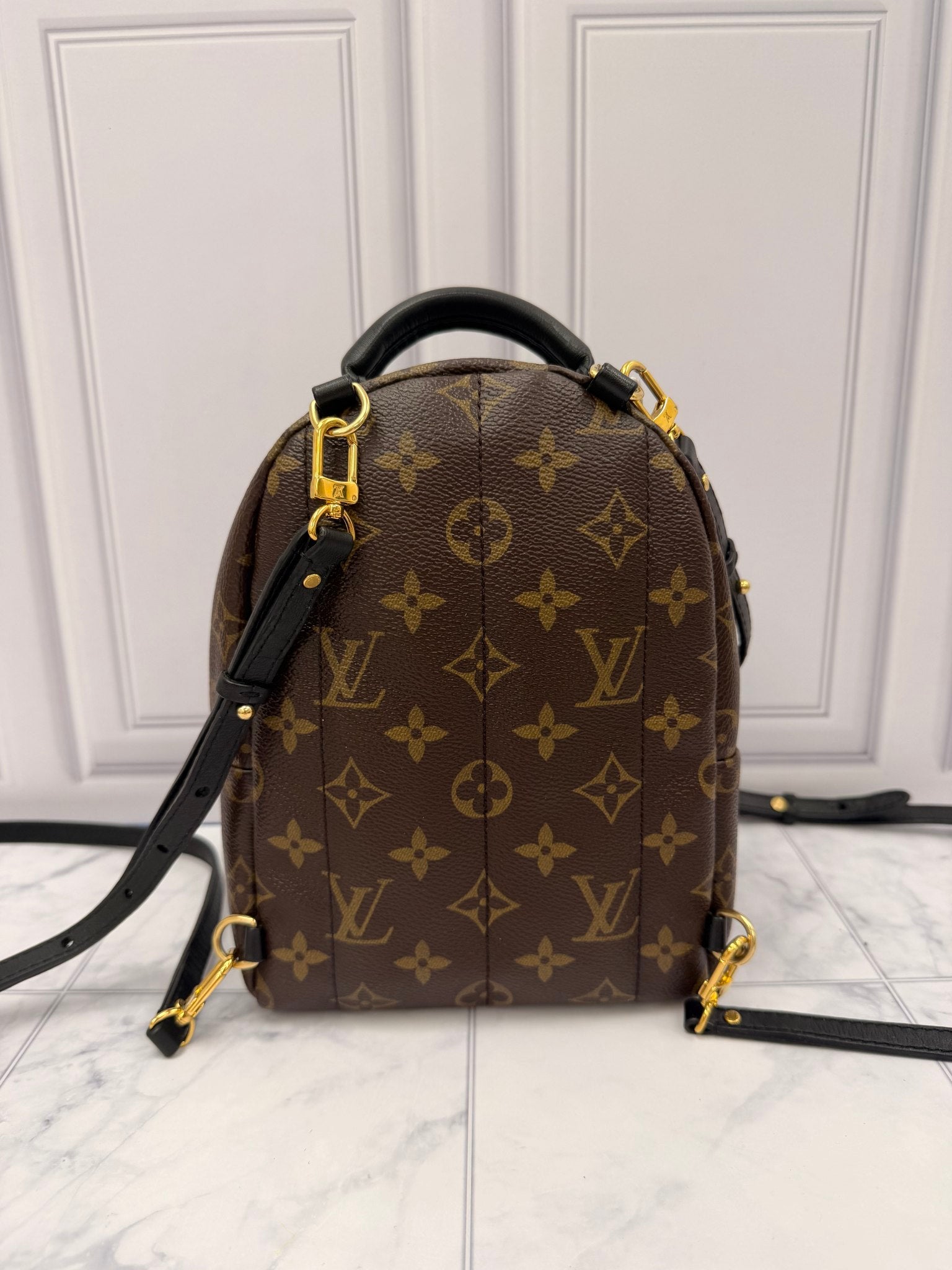Louis Vuitton Monogram Mini Palm Springs Backpack