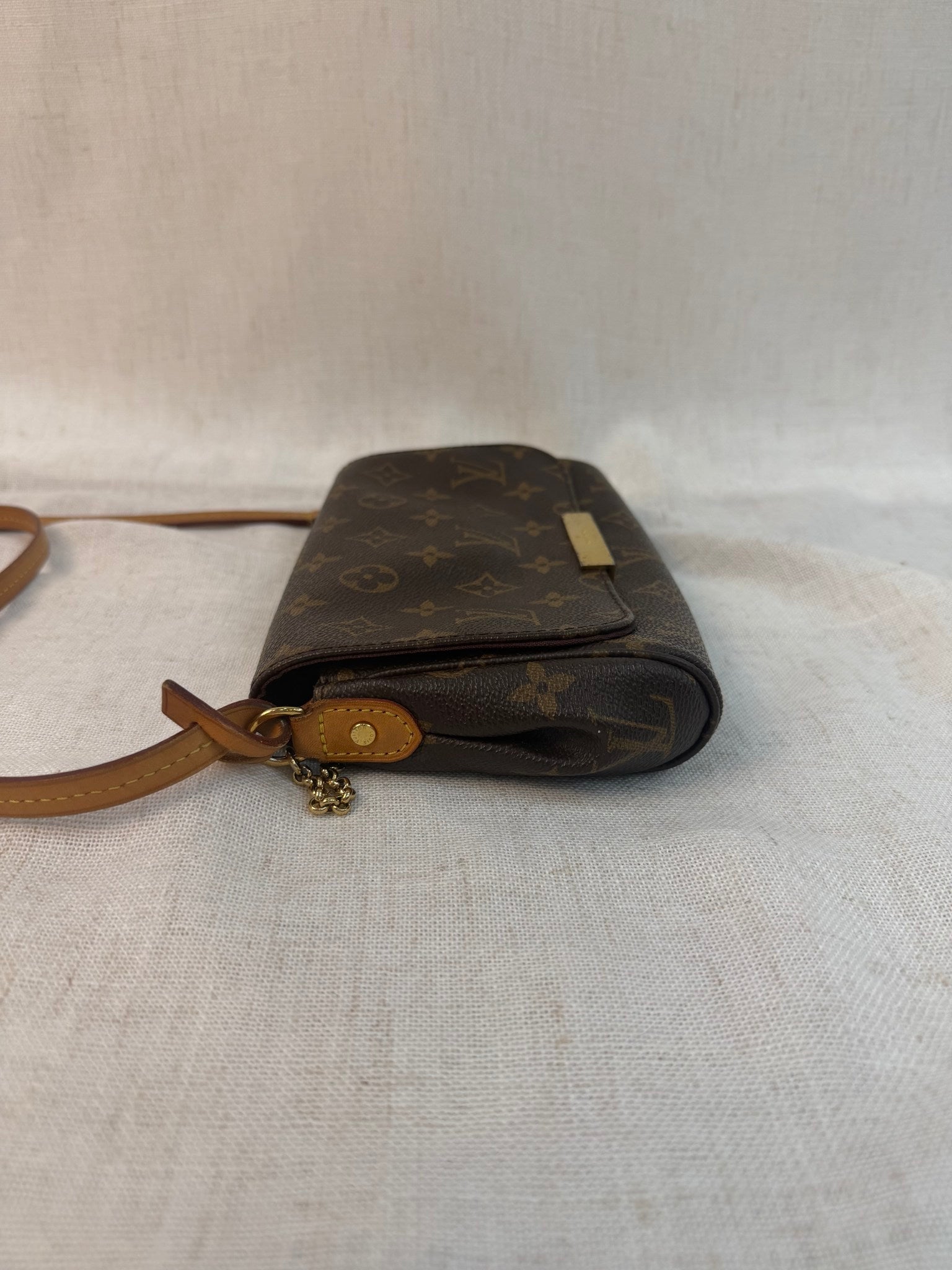 Louis Vuitton Monogram Favorite PM Bag