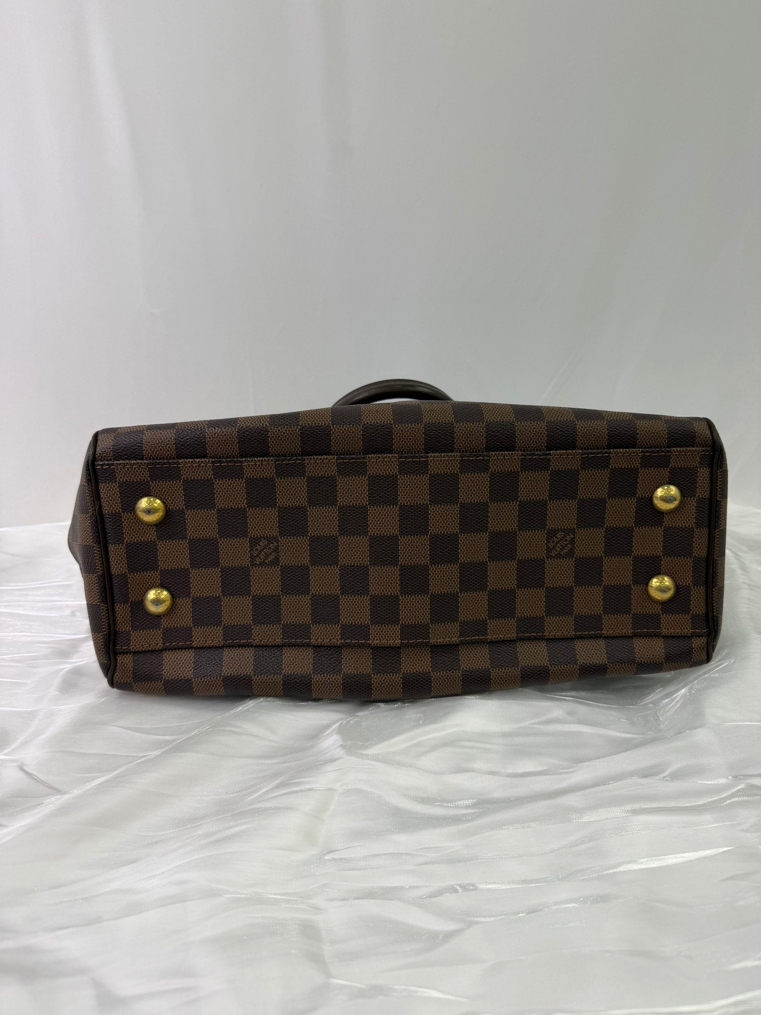 Louis Vuitton Damier Ebene Trevi PM Two Way Bag