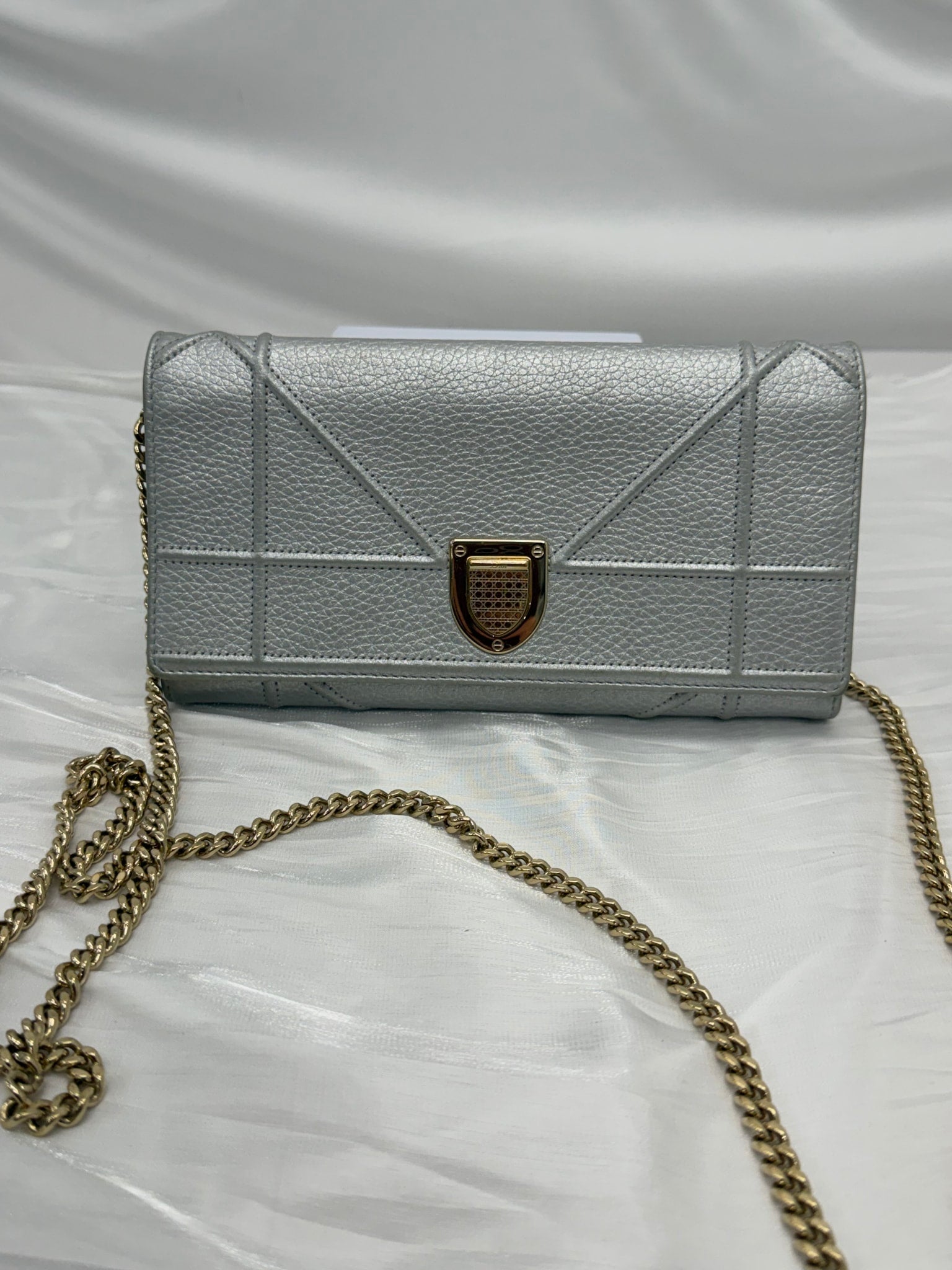 Christian Dior Silver Leather Diorama Wallet on a Chain