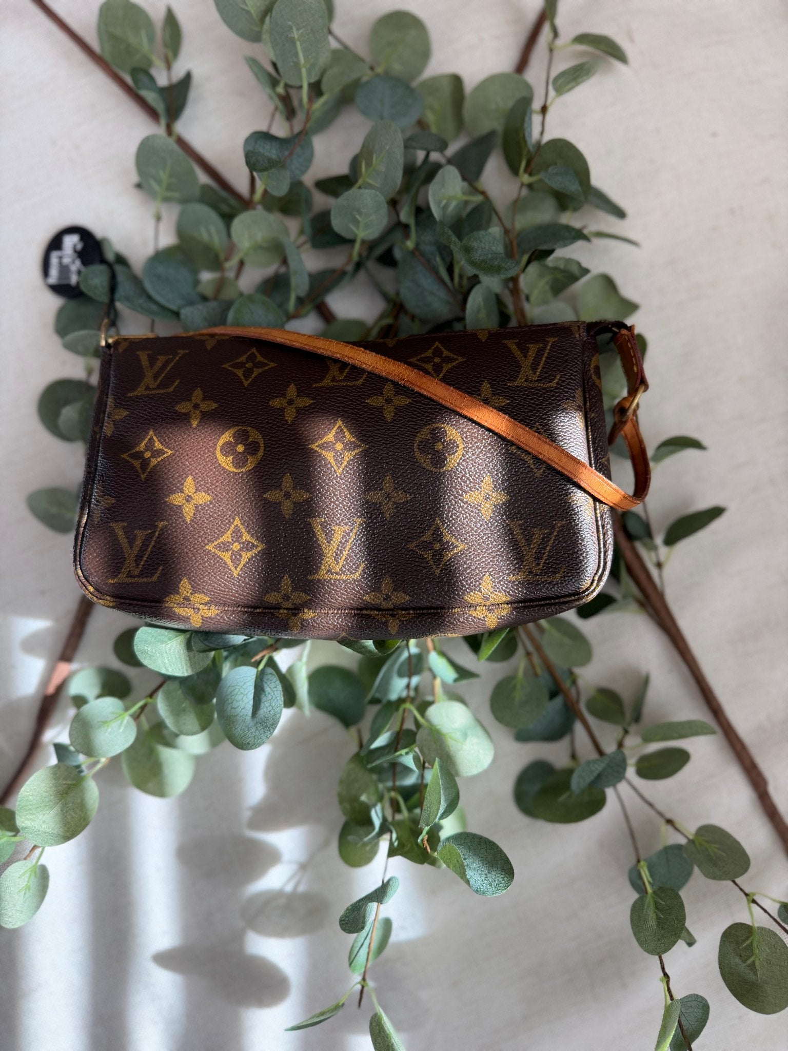Louis Vuitton Monogram Pochette Bag
