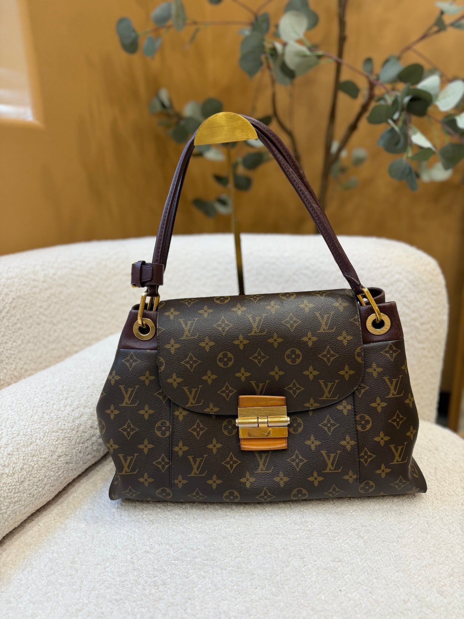 Louis Vuitton Monogram Olympe MM Bag