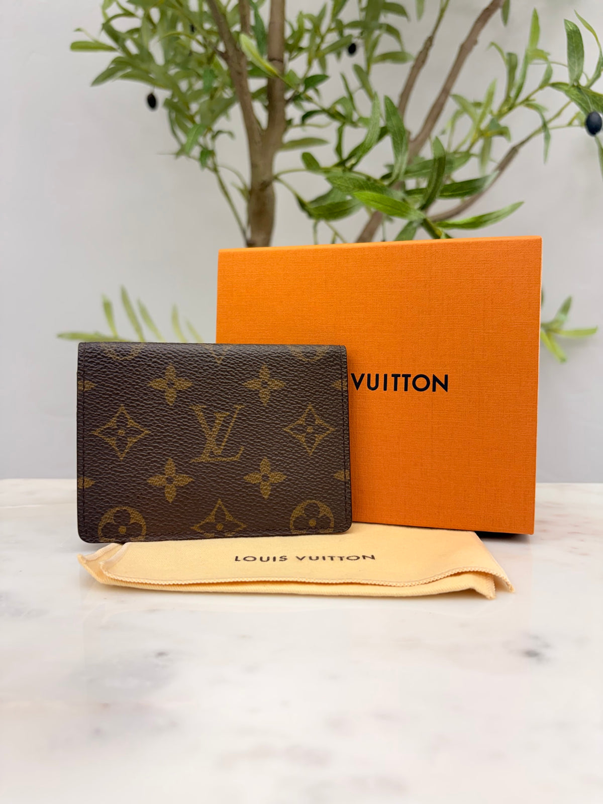 Louis Vuitton Monogram Card Case