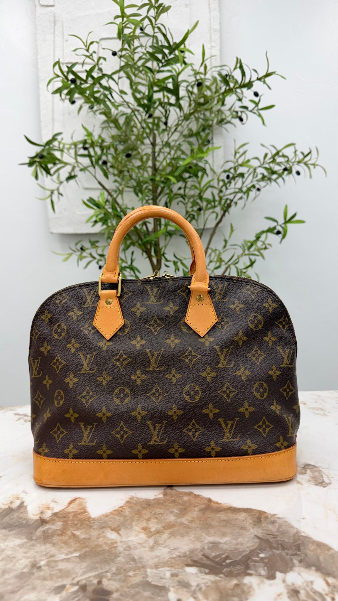 Louis Vuitton Monogram Alma PM Handbag