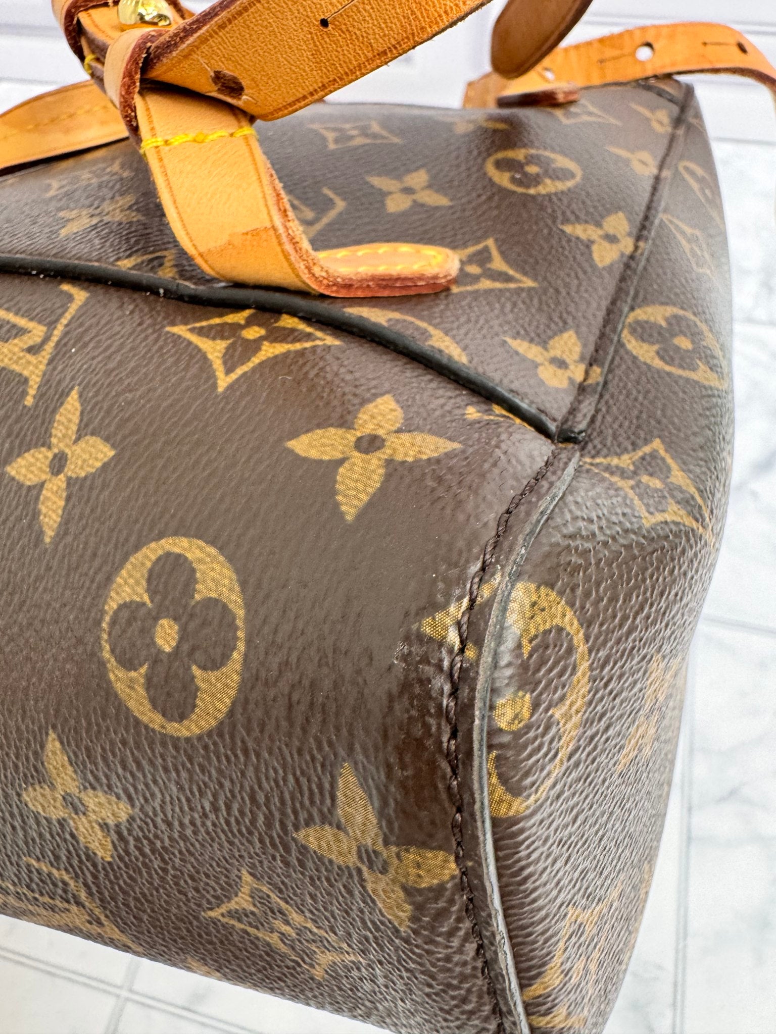 Louis Vuitton Monogram Montsouris Backpack