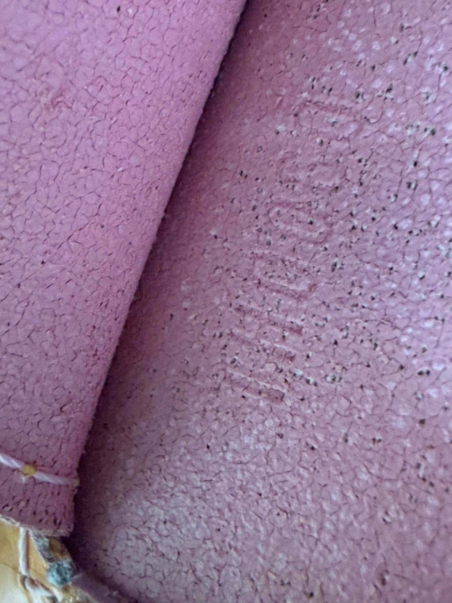 https://res.cloudinary.com/dyql5hig8/image/upload/v1758297895/i8omgxwmsfcwyfd5n9hu.jpg