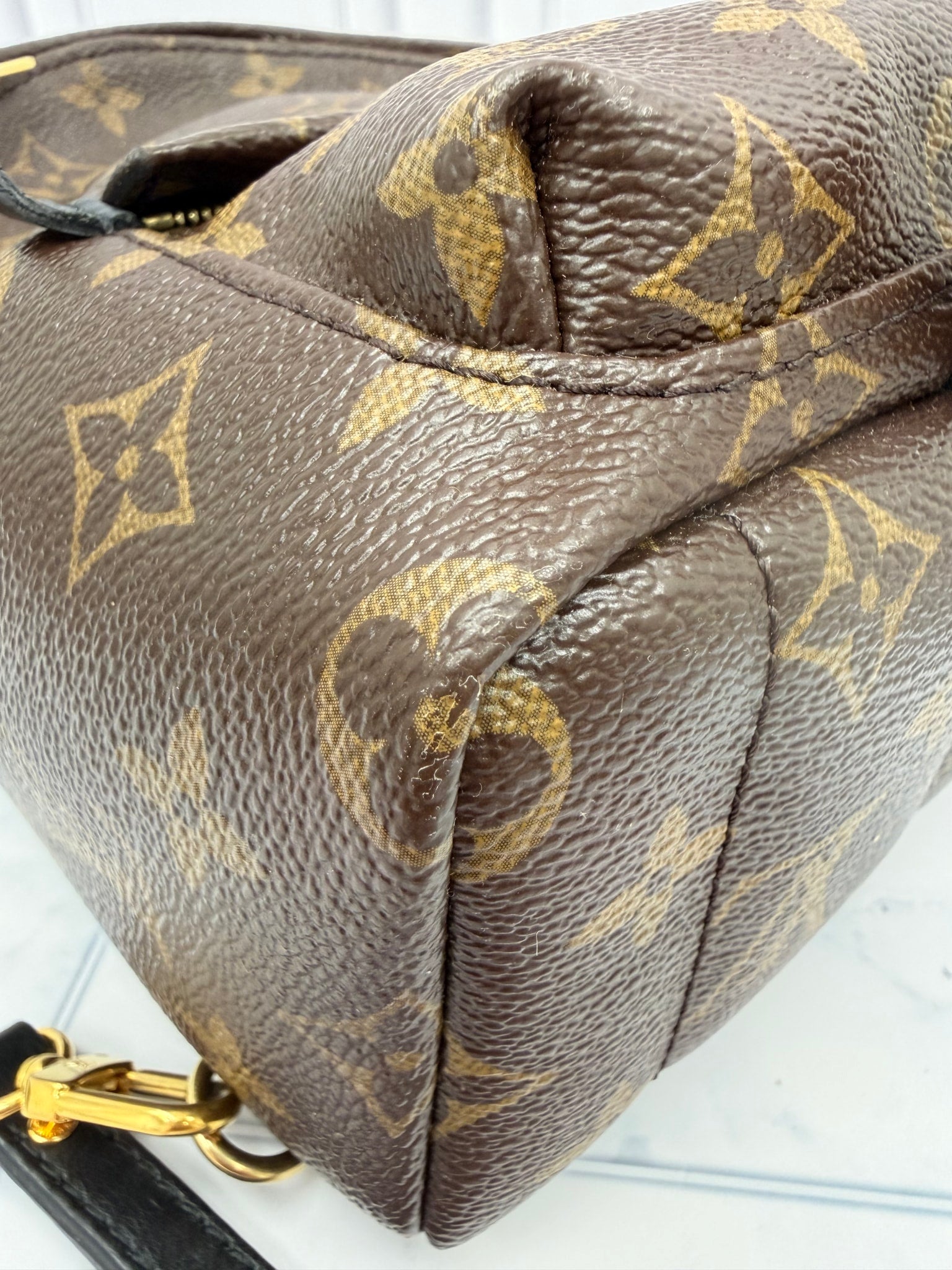 Louis Vuitton Monogram Mini Palm Springs Backpack
