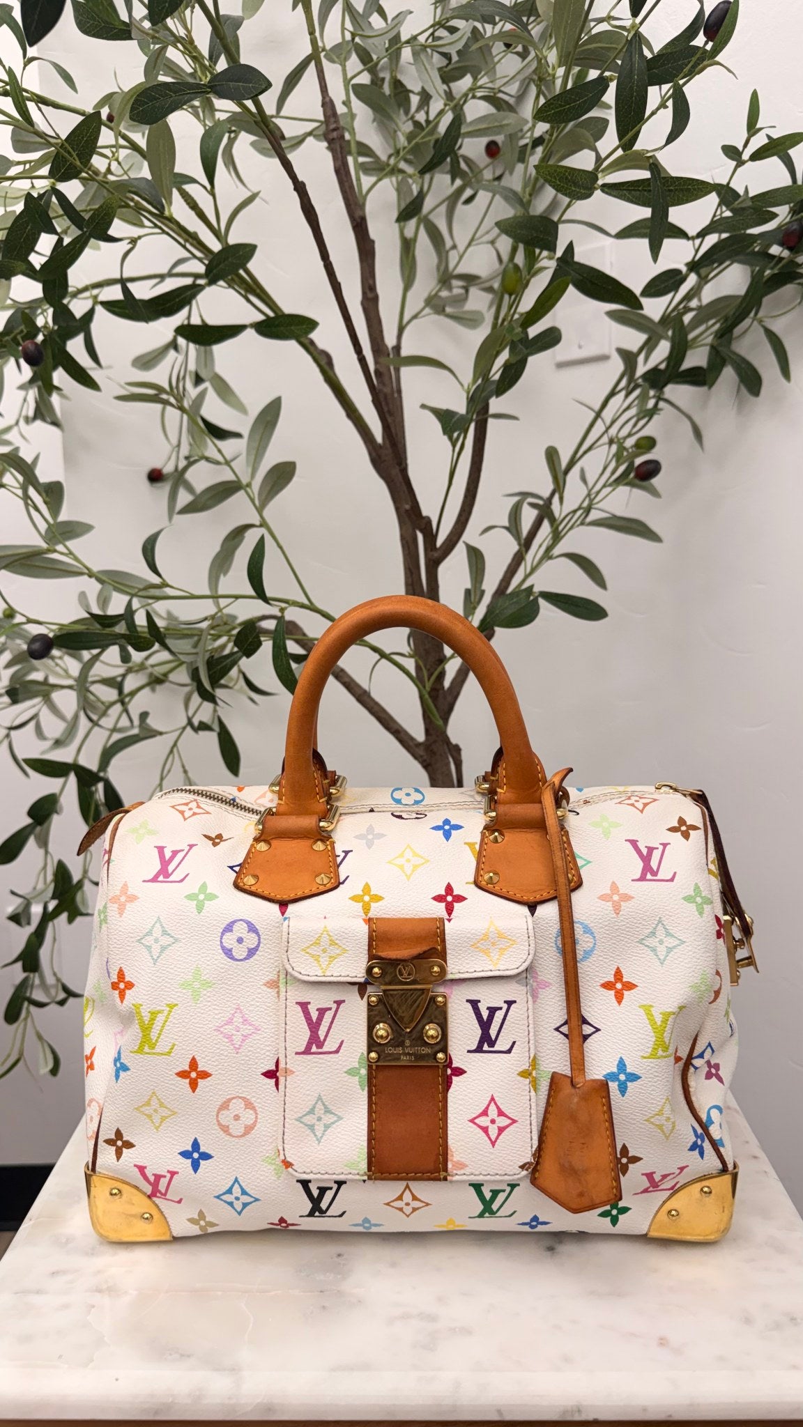 Louis Vuitton White Multicolor Monogram Speedy 30