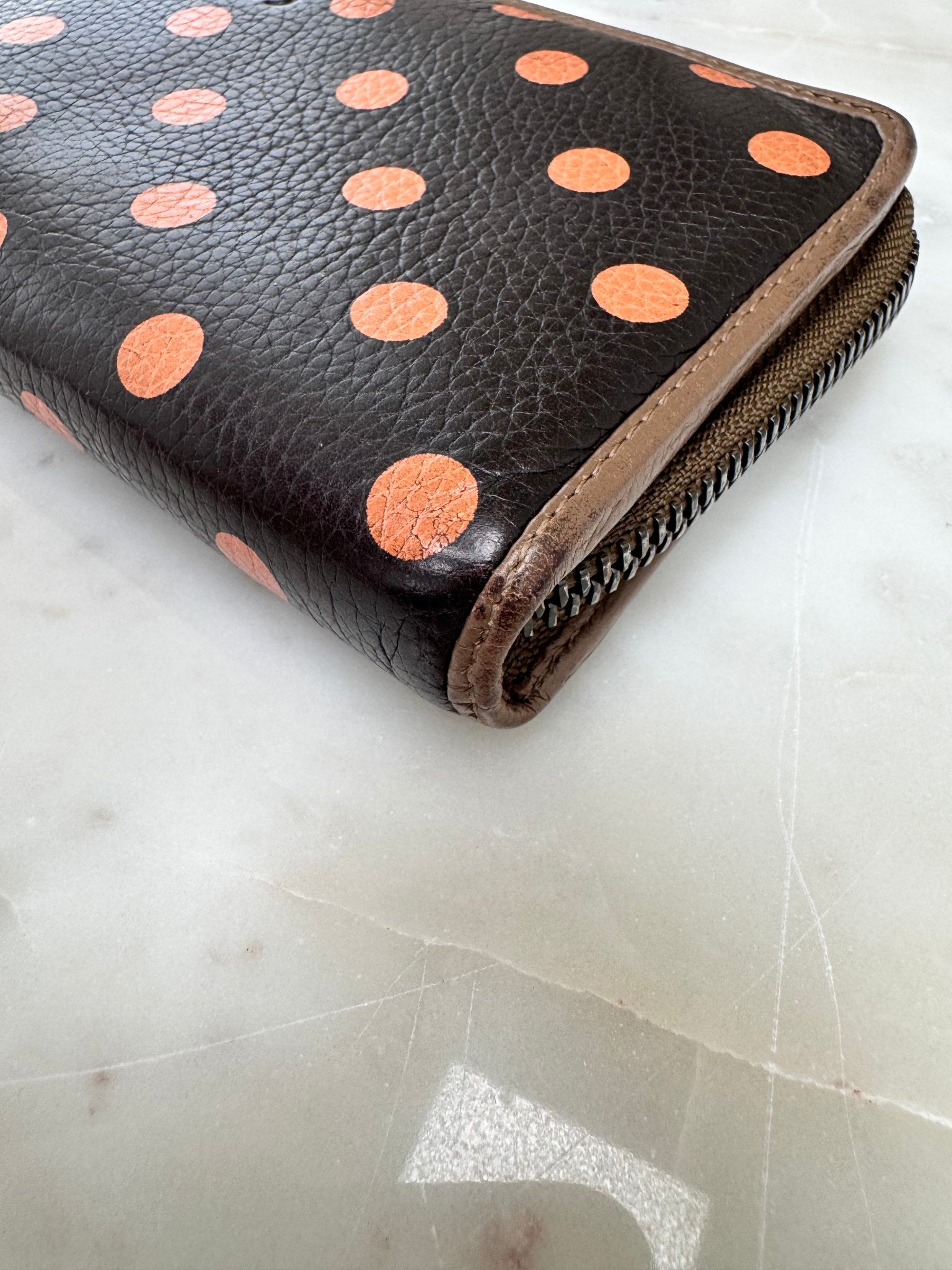 Loewe Polka Dot Print Calfskin Zippy Wallet