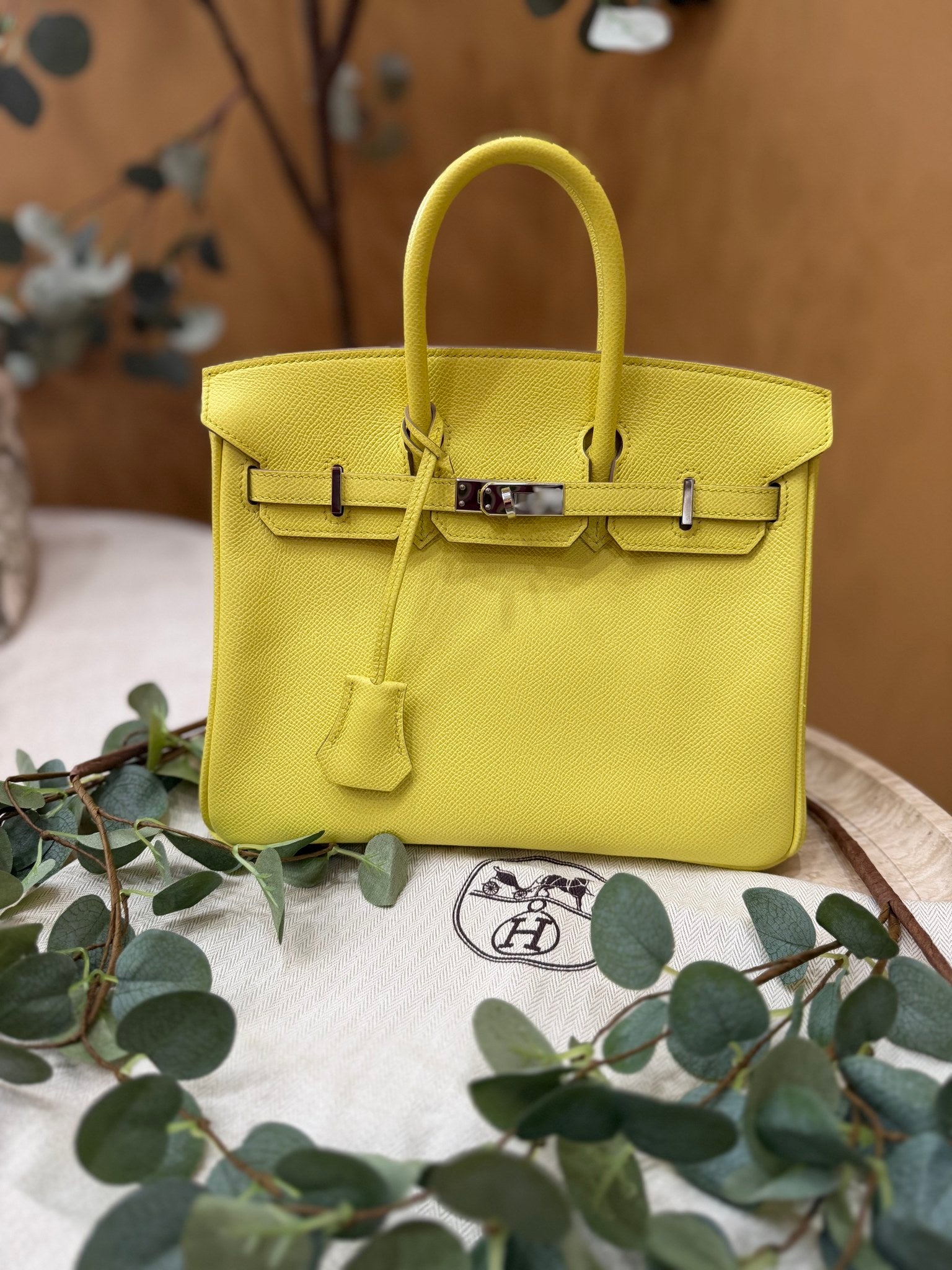 Hermes Lime Epsom Leather Birkin 25 PHW