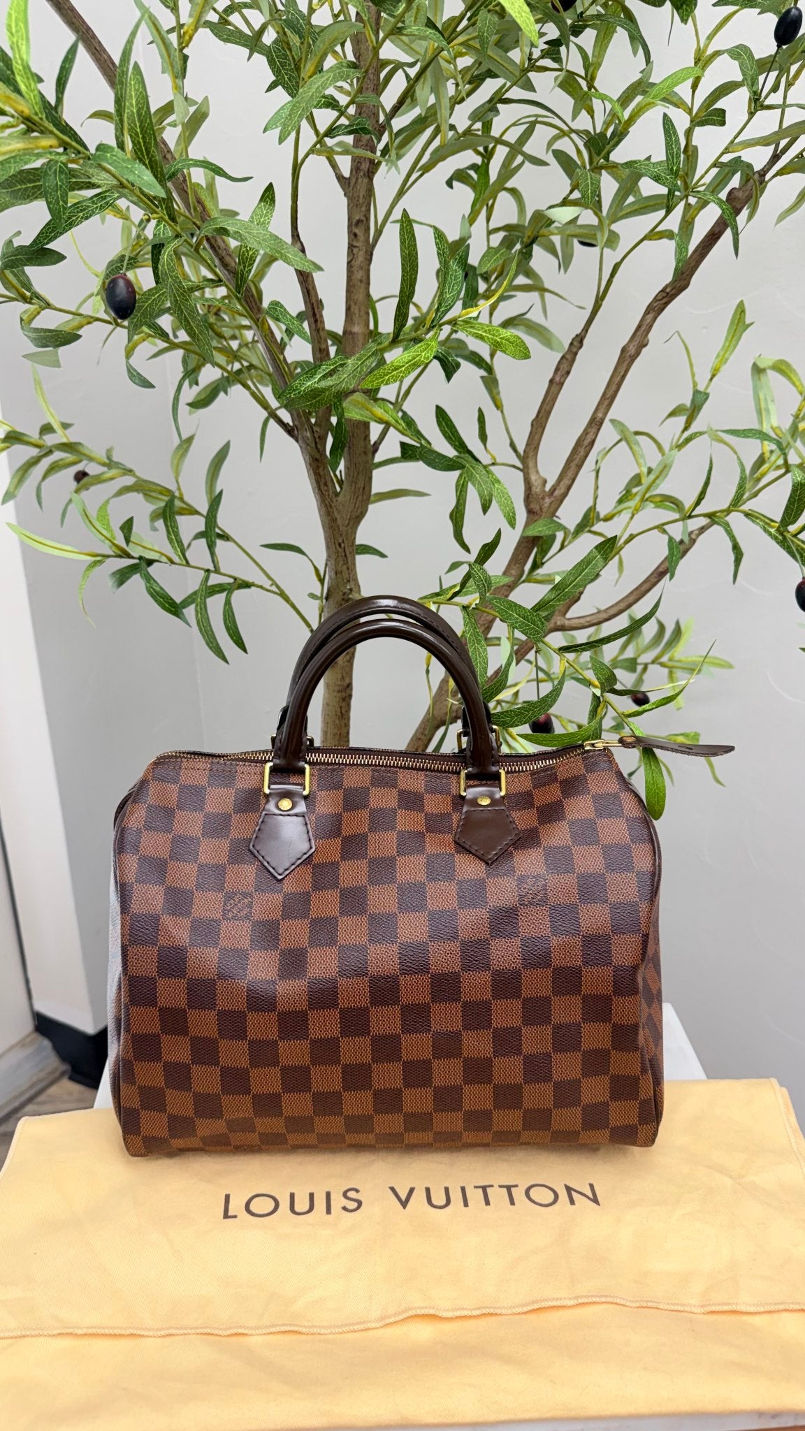 Louis Vuitton Damier Ebene Speedy 30