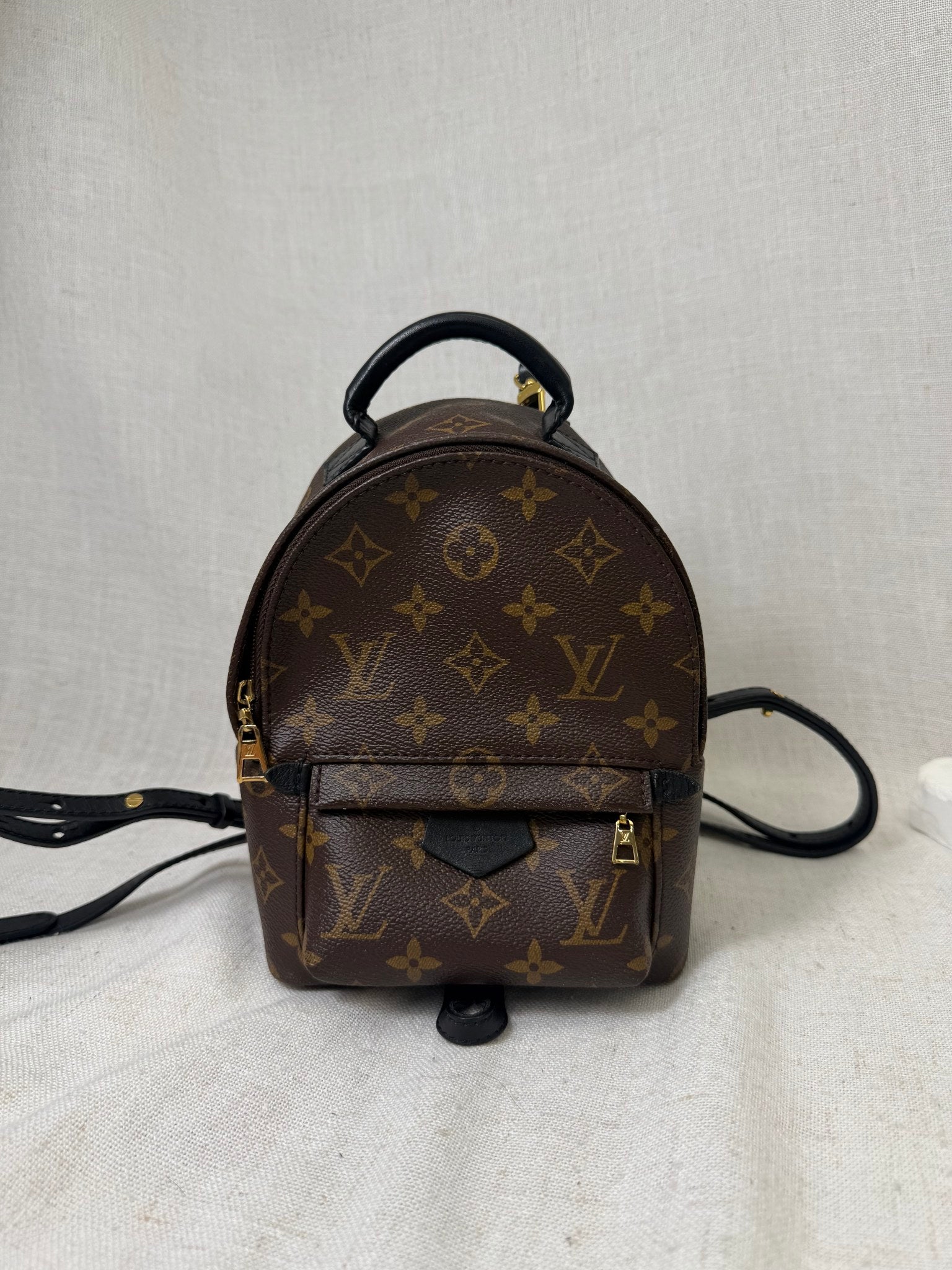 Louis Vuitton Monogram Palm Spring Mini Backpack