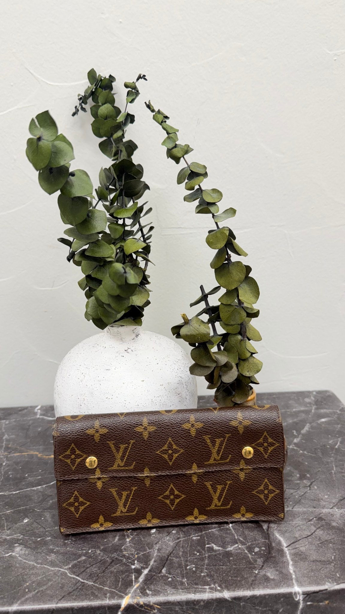 Louis Vuitton Monogram Accordion Long Wallet