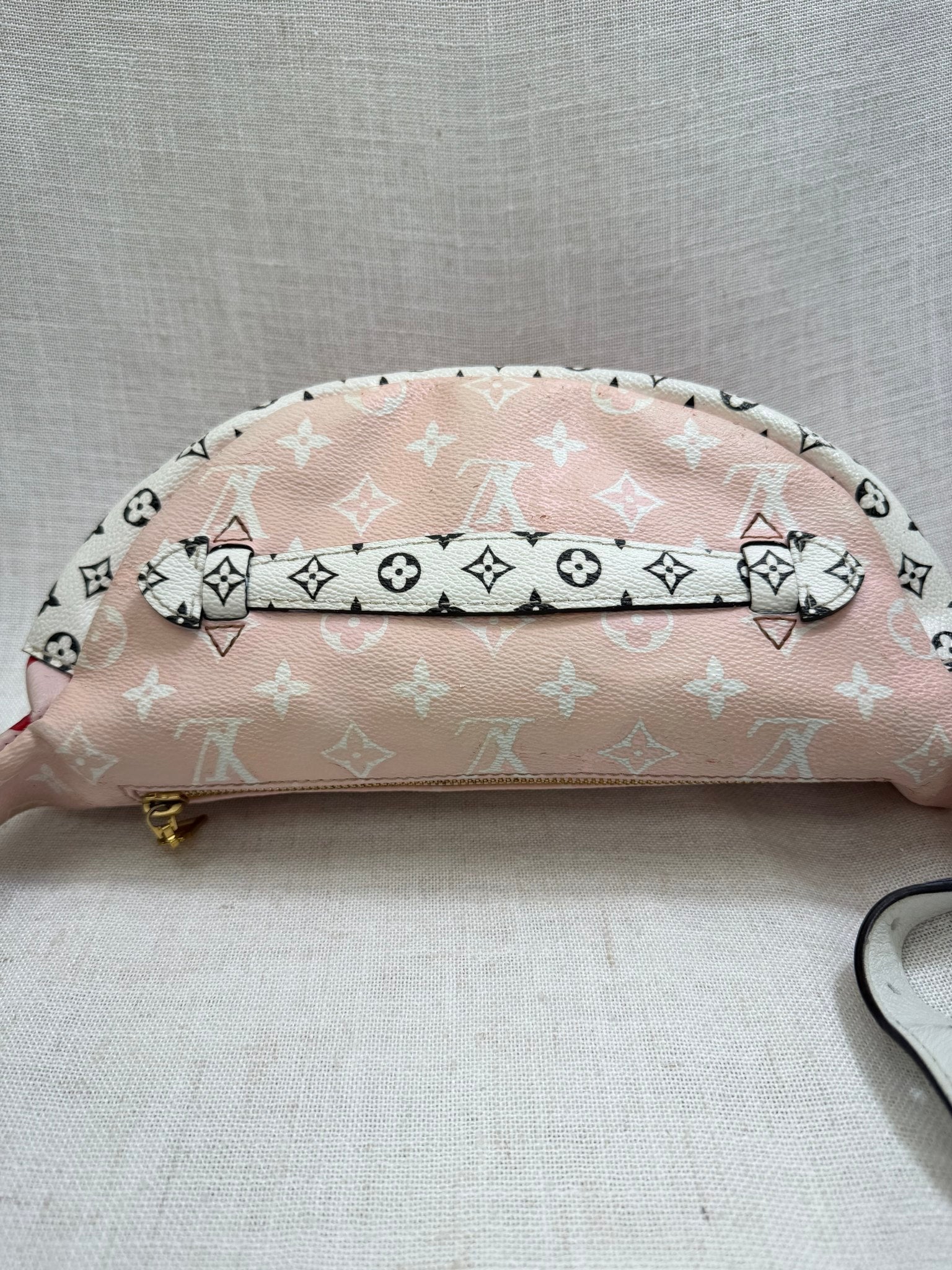 Louis Vuitton Pink Red And White Monogram Giant Bumbag